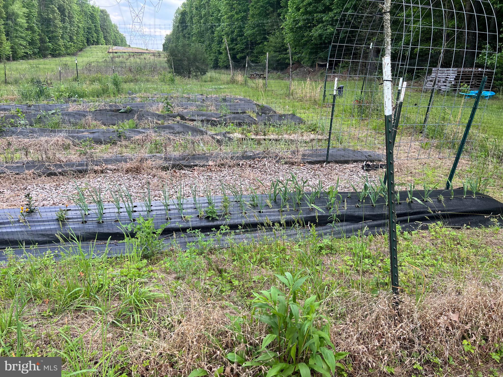 SPOTSYLVANIA COUNTY - Residential