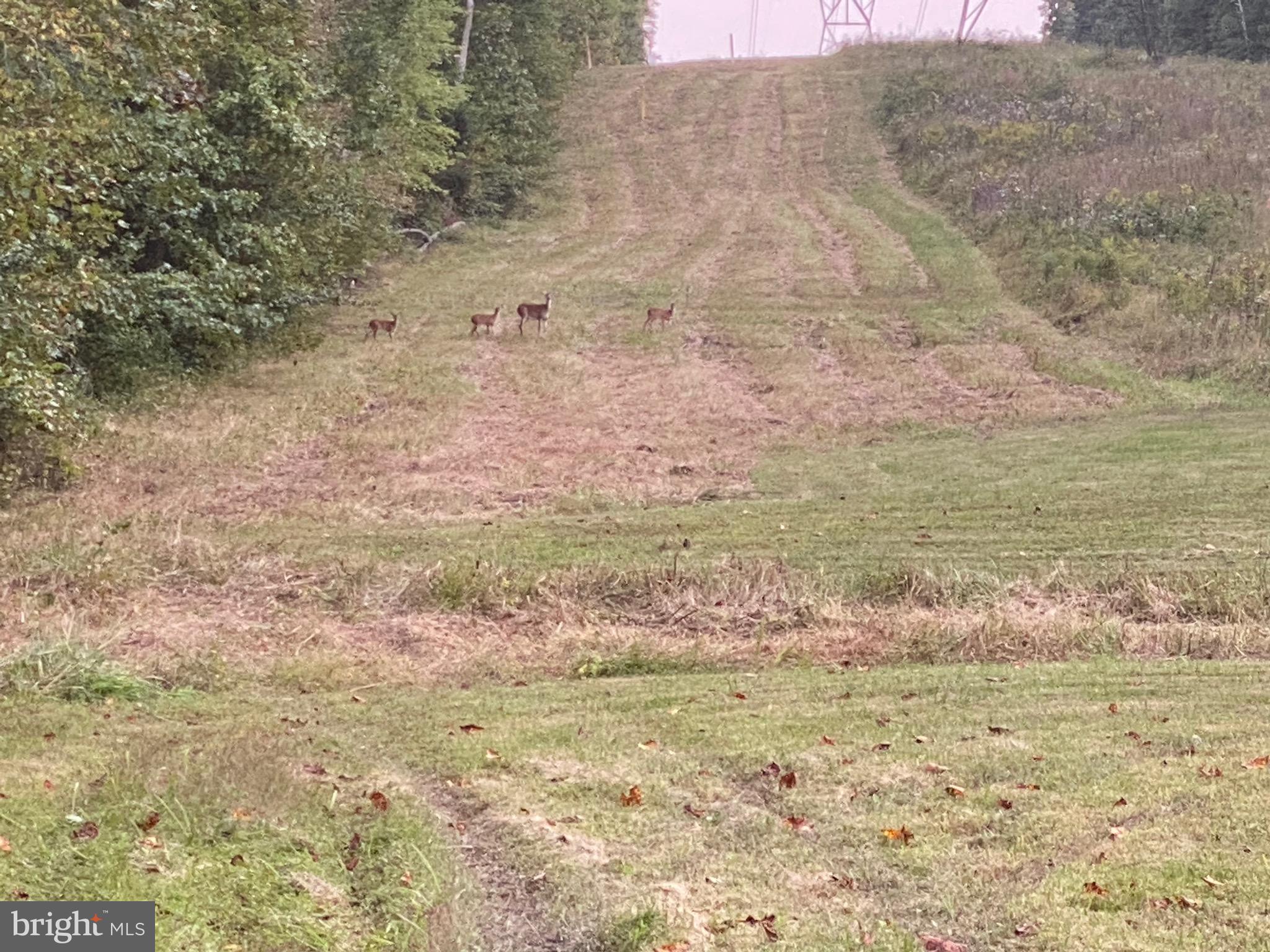 SPOTSYLVANIA COUNTY - Residential