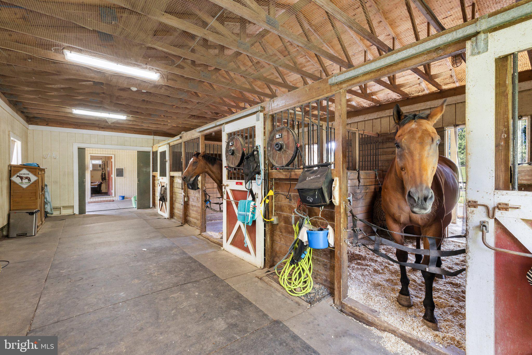 REDLAC FOREST - Residential