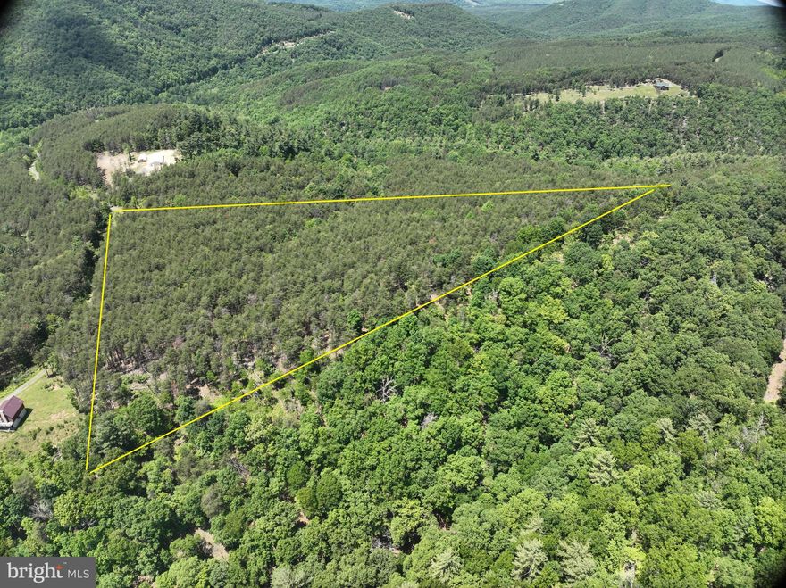 Nice wooded lot at Ashton Woods with acres of pines and a great potential build site on a bluff. Just a short drive from the nearest gated entrance from Corridor H. About 10 of the 20 acres are very gentle and very buildable. Several locations could provide flawless views to the east.