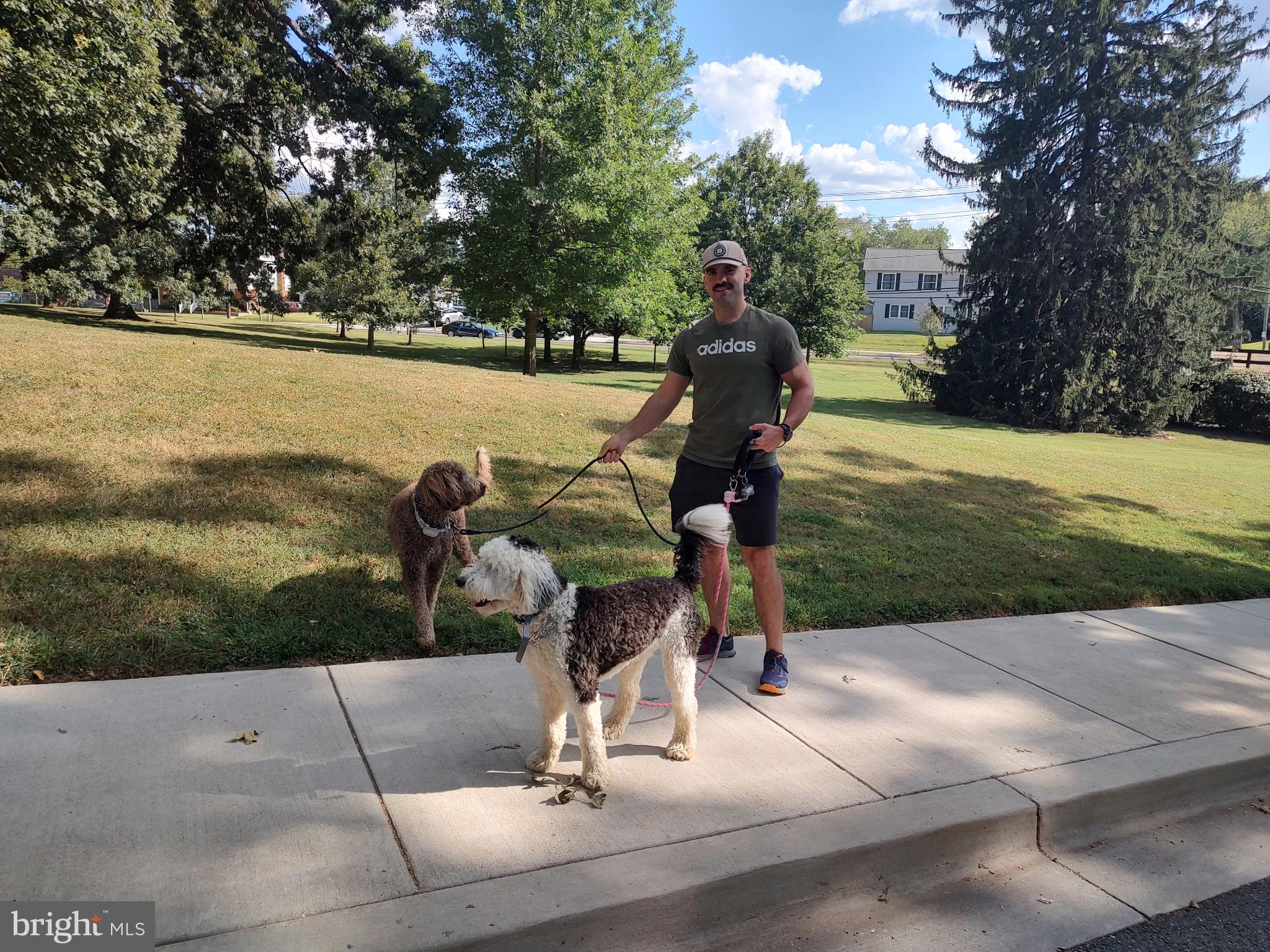 SILVER ROCK - Residential