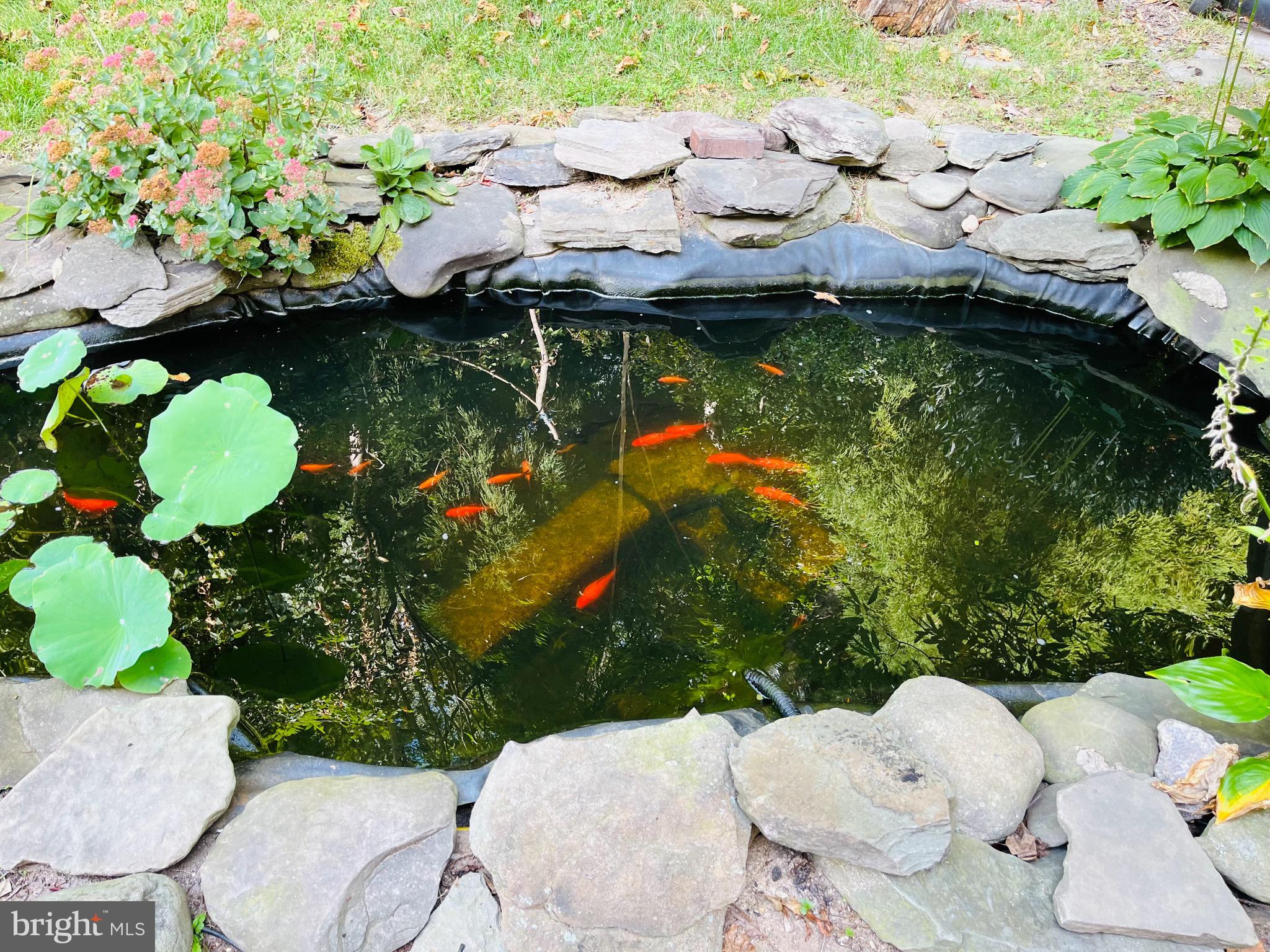 SNOWDENS MILL - Residential