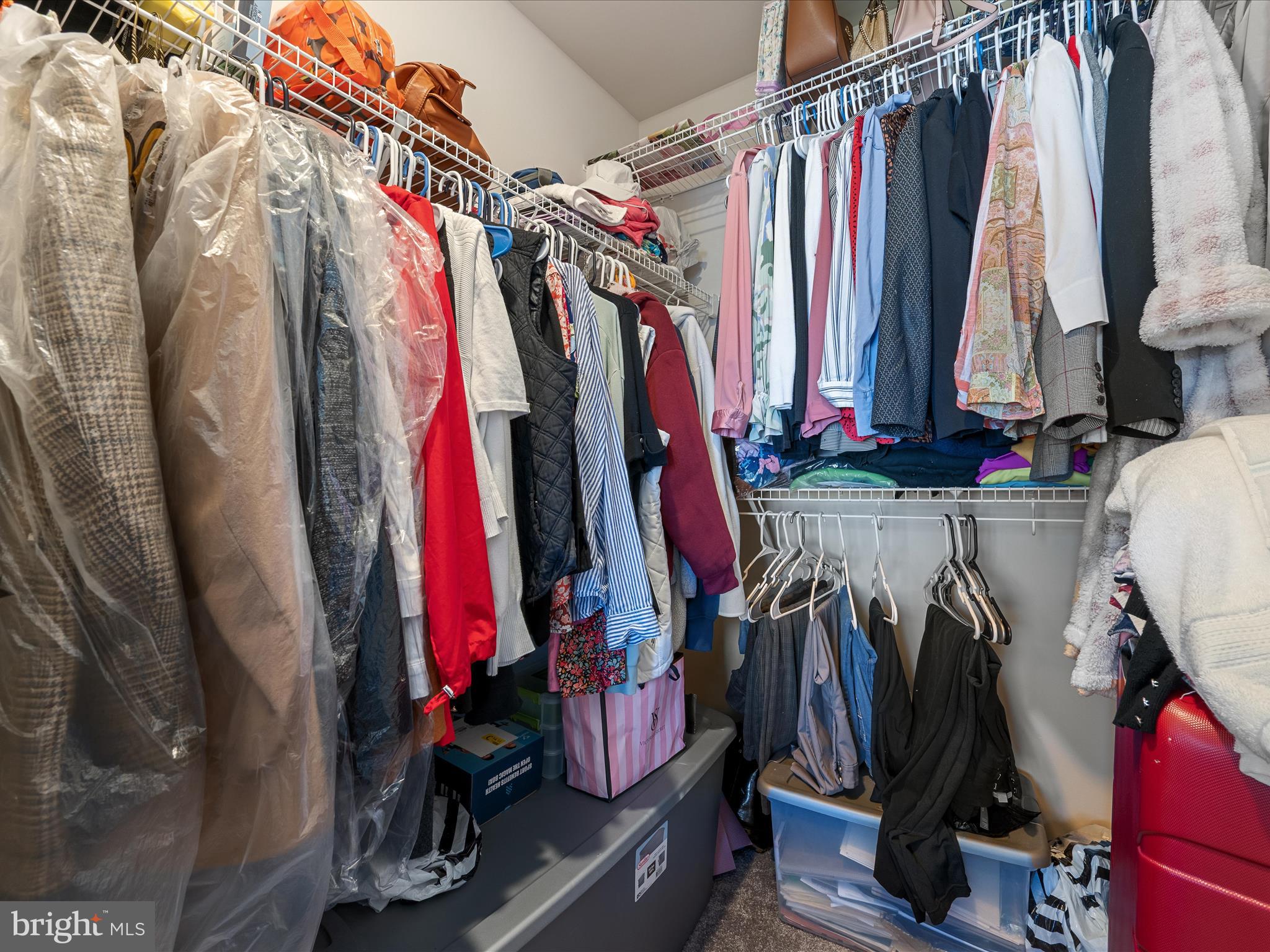 NORBORNE GLEBE - Residential