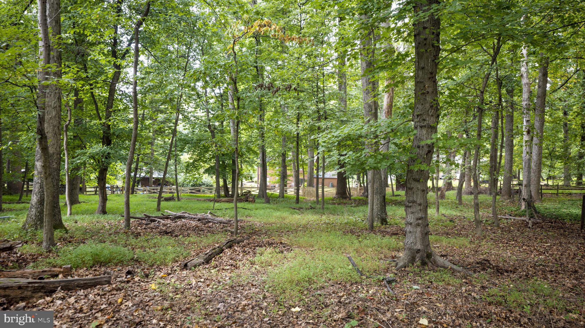 DUFIEF - Residential