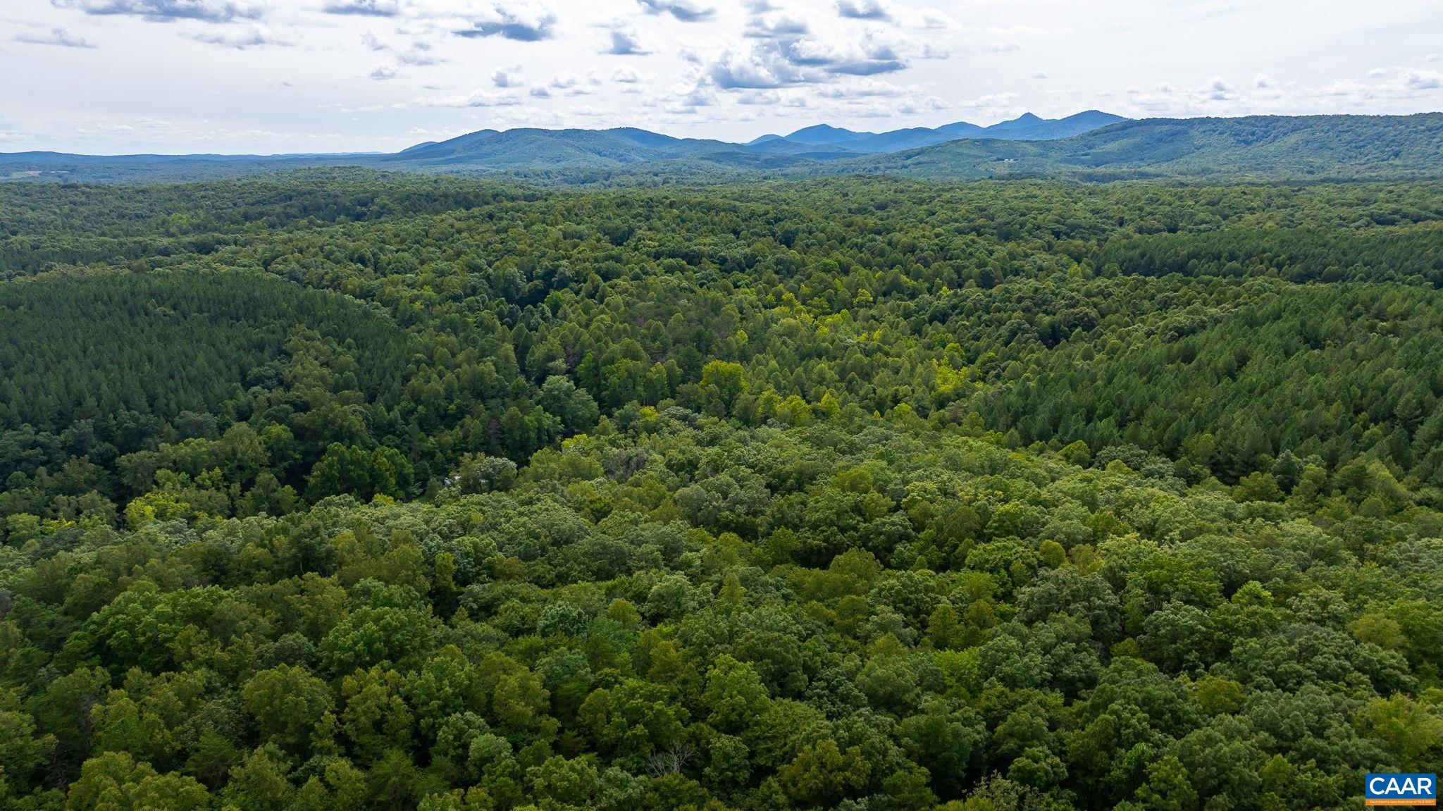 ALBEMARLE - Land
