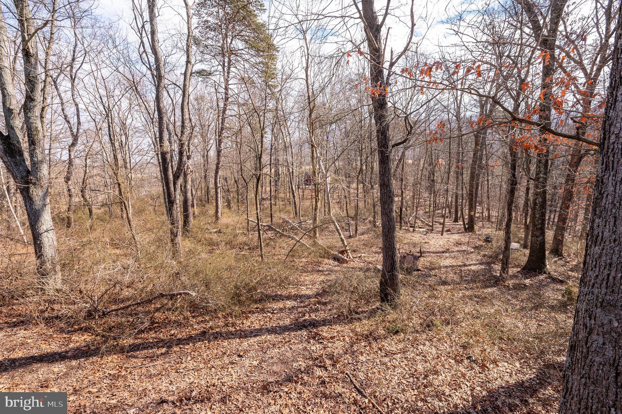 COUNTRY RIDGE - Residential