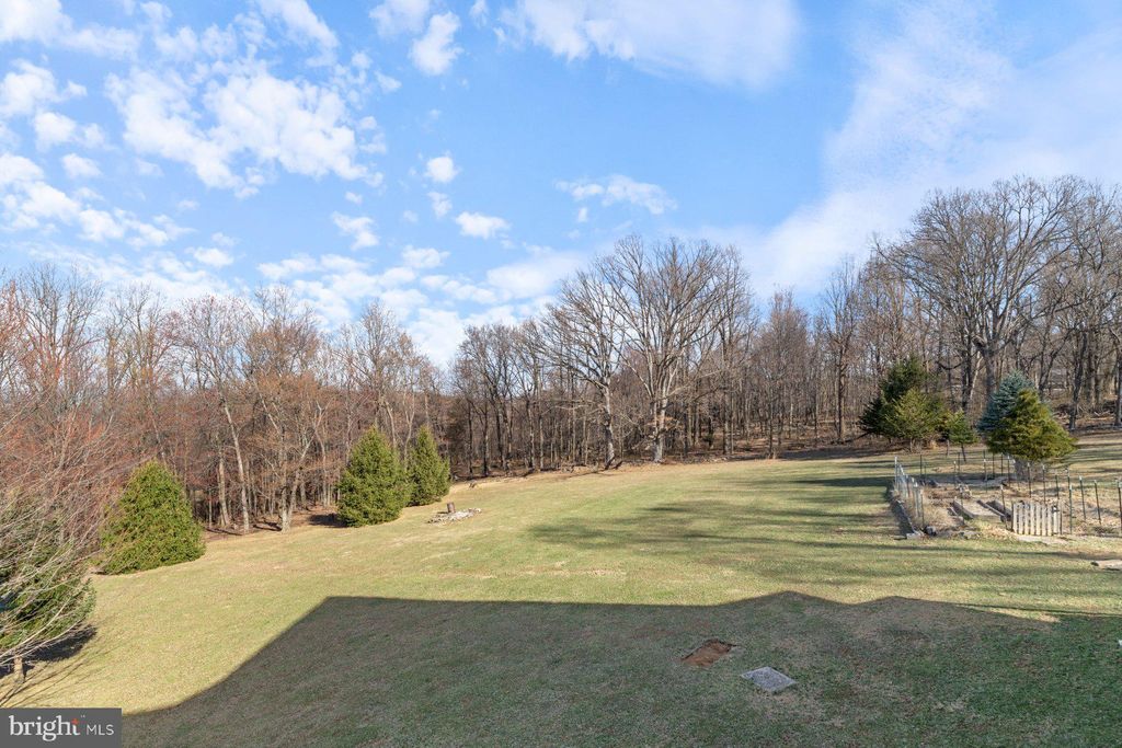 listing image 45
