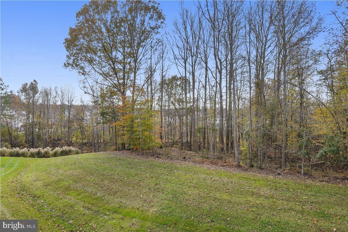 THE VILLAGES OF STEEPLECHASE - Residential