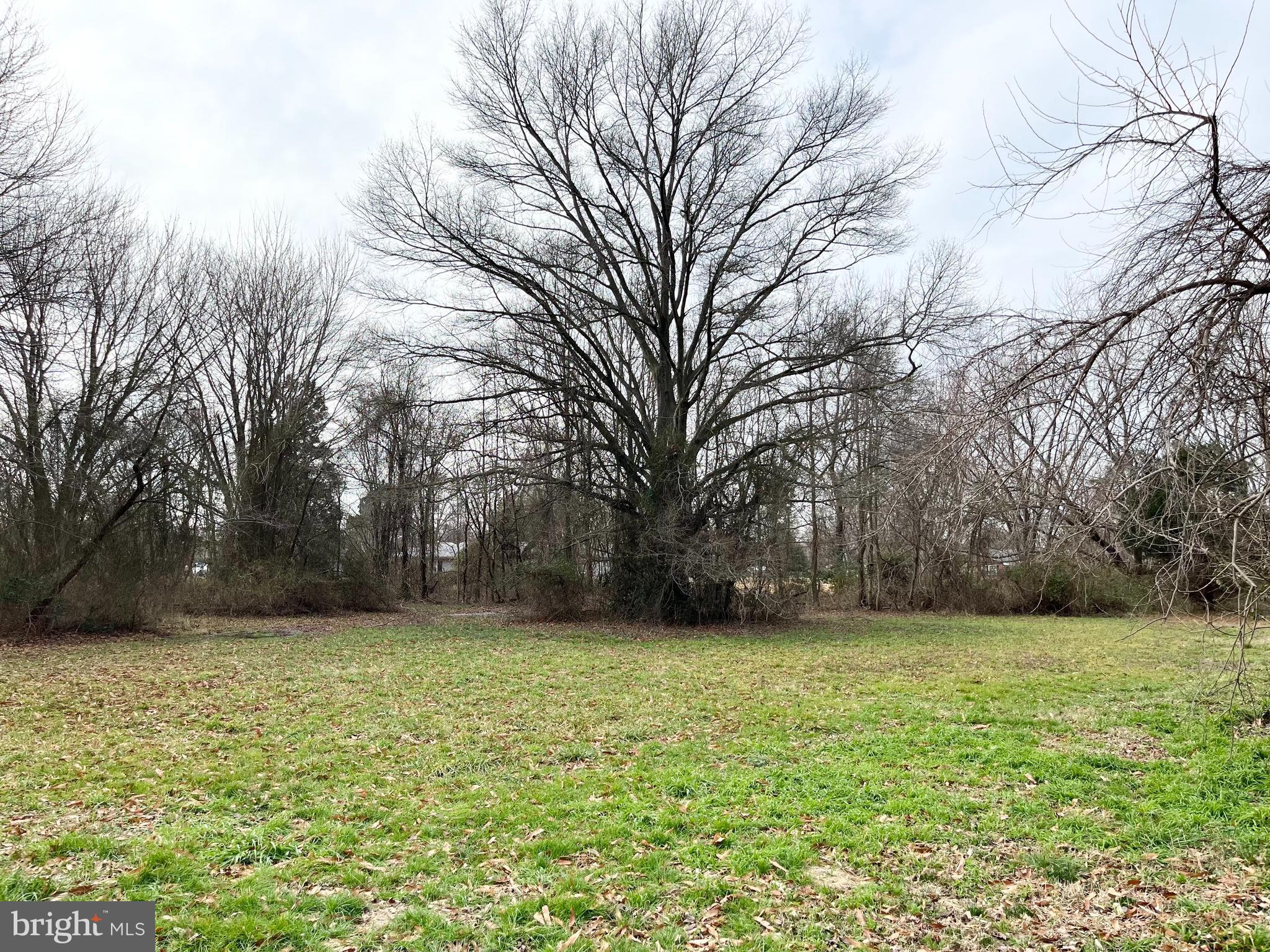 QUEEN ANNE COLONY - Land