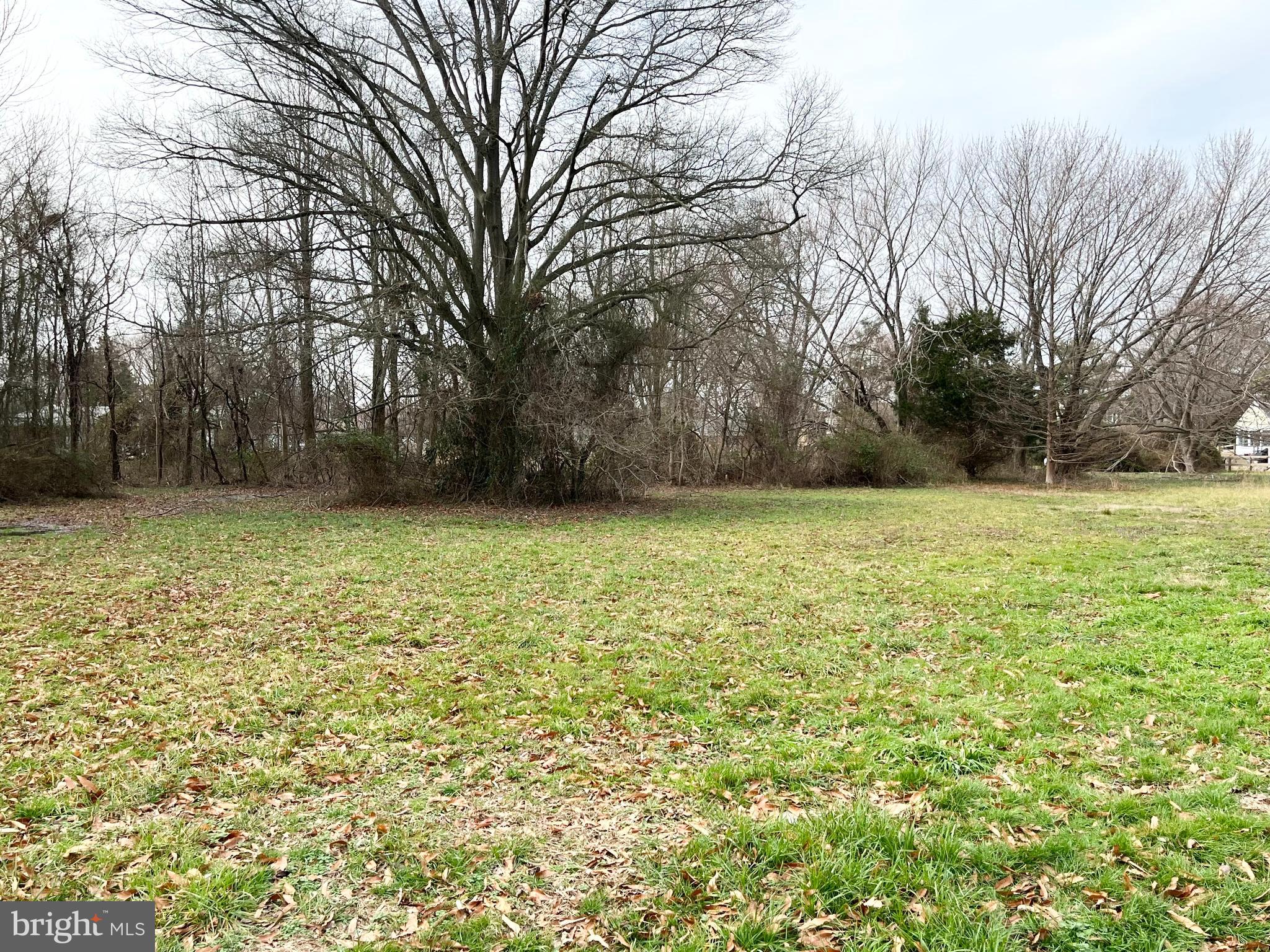 QUEEN ANNE COLONY - Land