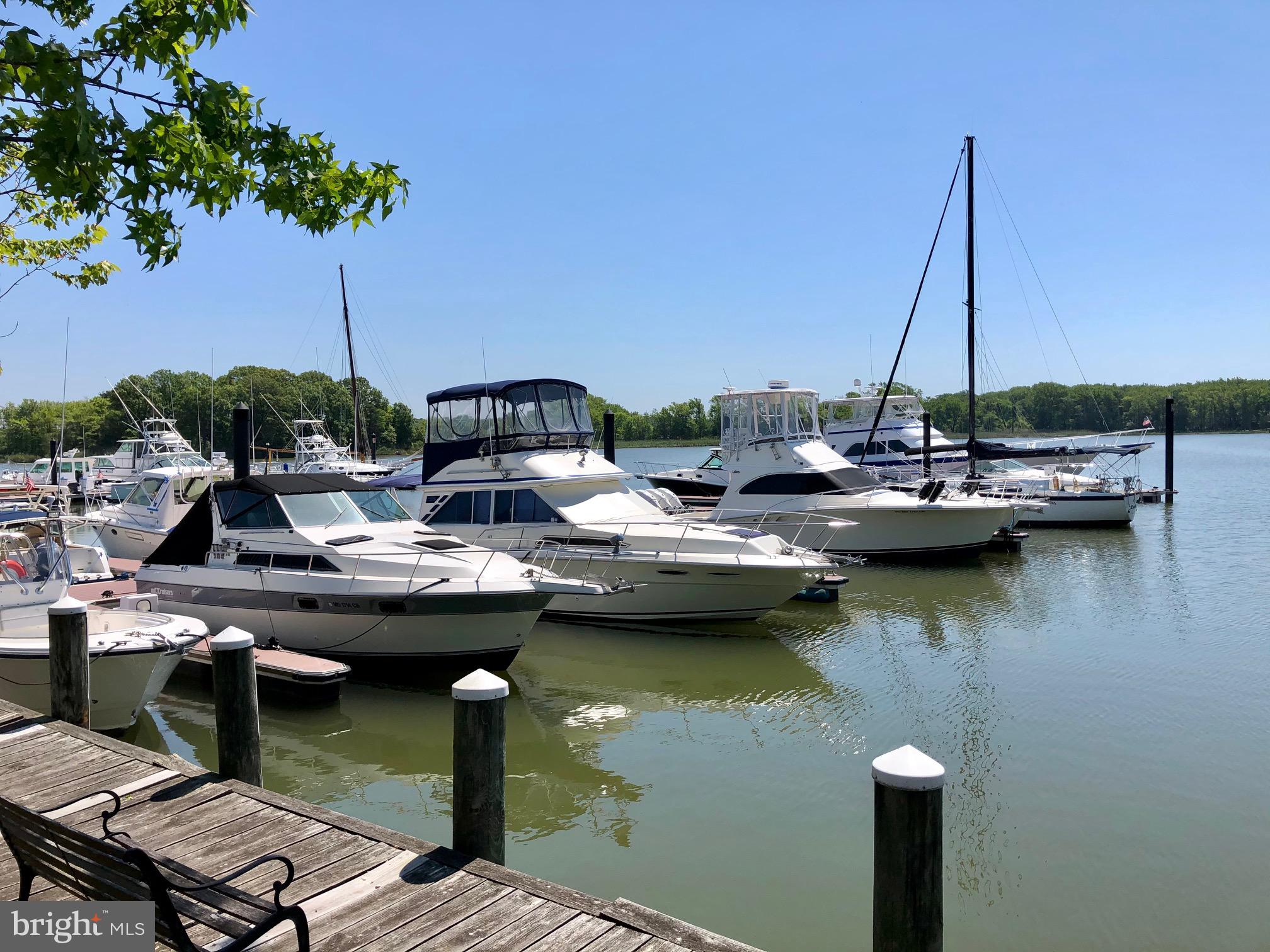 QUEEN ANNE COLONY - Land