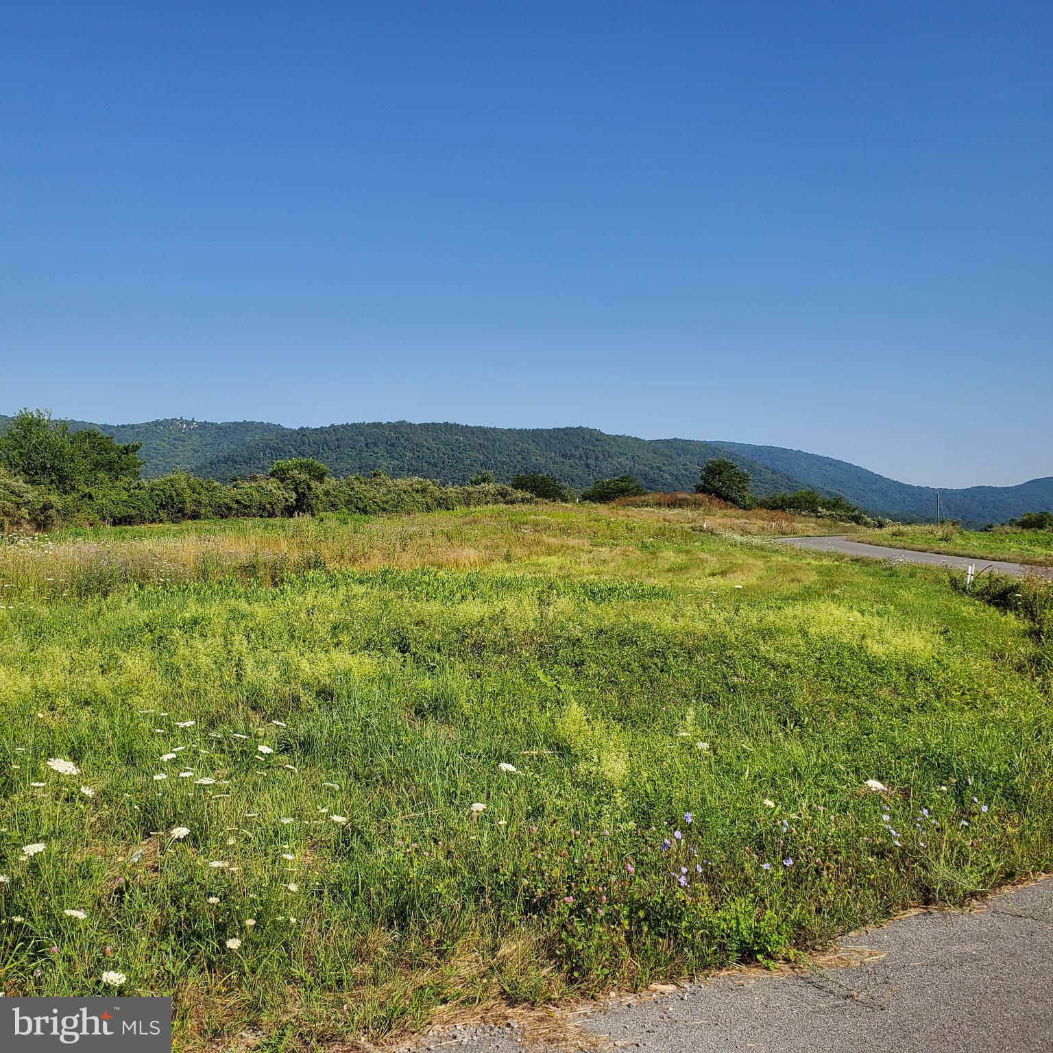 Nice building lot , away from the hustle, but close enough for comfort! Bring your own builder! HOME BUILDERS: Owner will Subordinate Cost of Lot Until Home is Built.