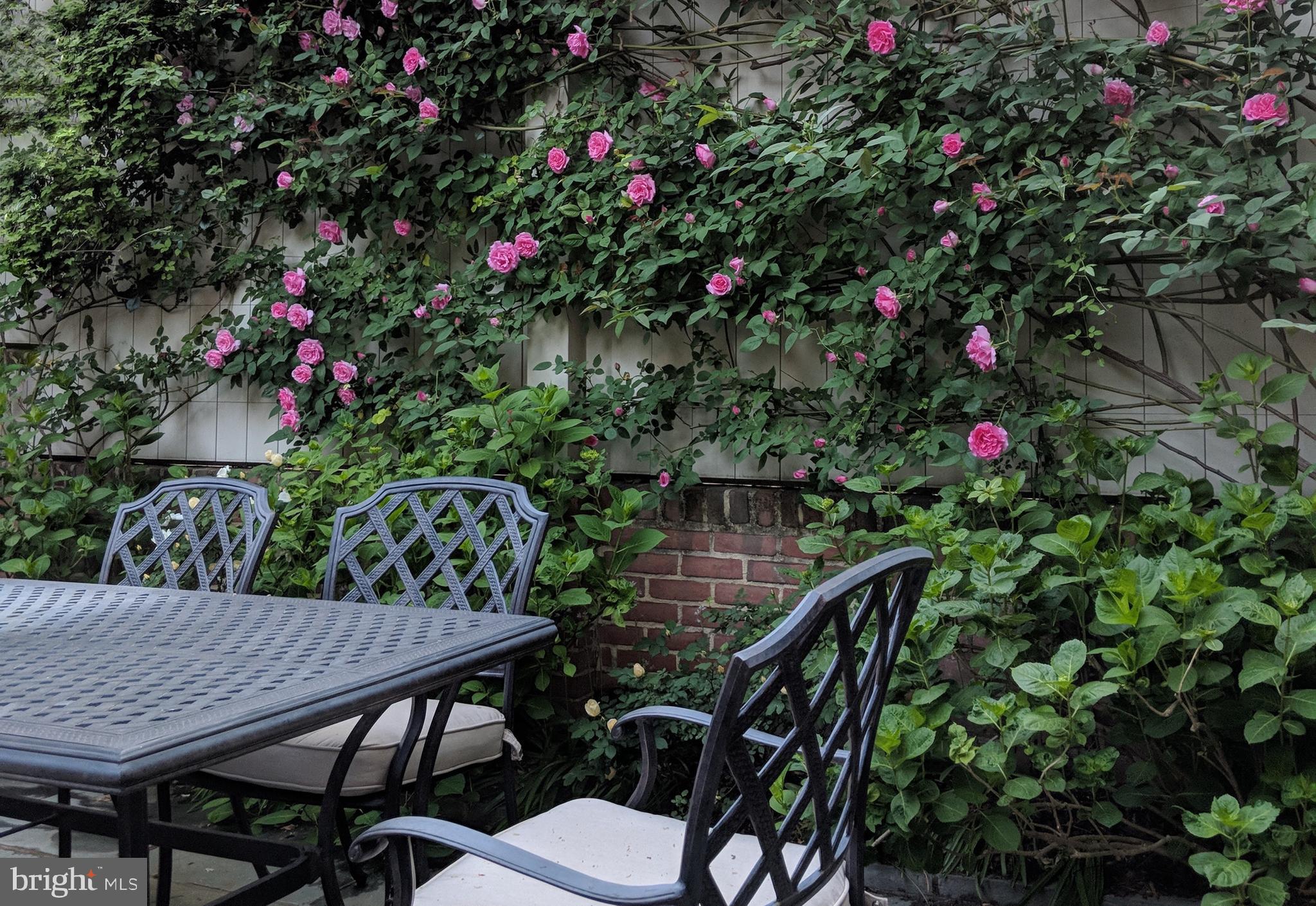 KALORAMA - Residential