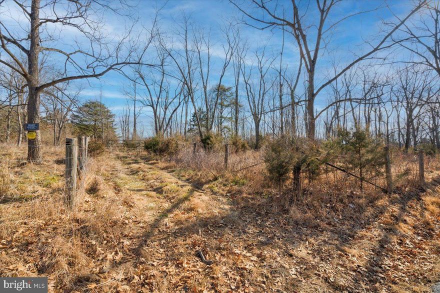 Land is back on the market at no fault to seller.  Do not miss out on this serene 32+/- acres that is just minutes from the WV/VA line!!  Lightly wooded for privacy but land can be easily cleared as well. The opportunities are endless: wether you are looking to homestead, wanting land for multi-generational living, or if you would like the opportunity to subdivide and develop.  Schedule your showing today!