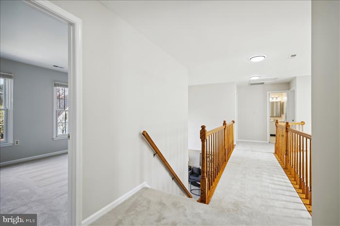 CHANTILLY HIGHLANDS - Residential