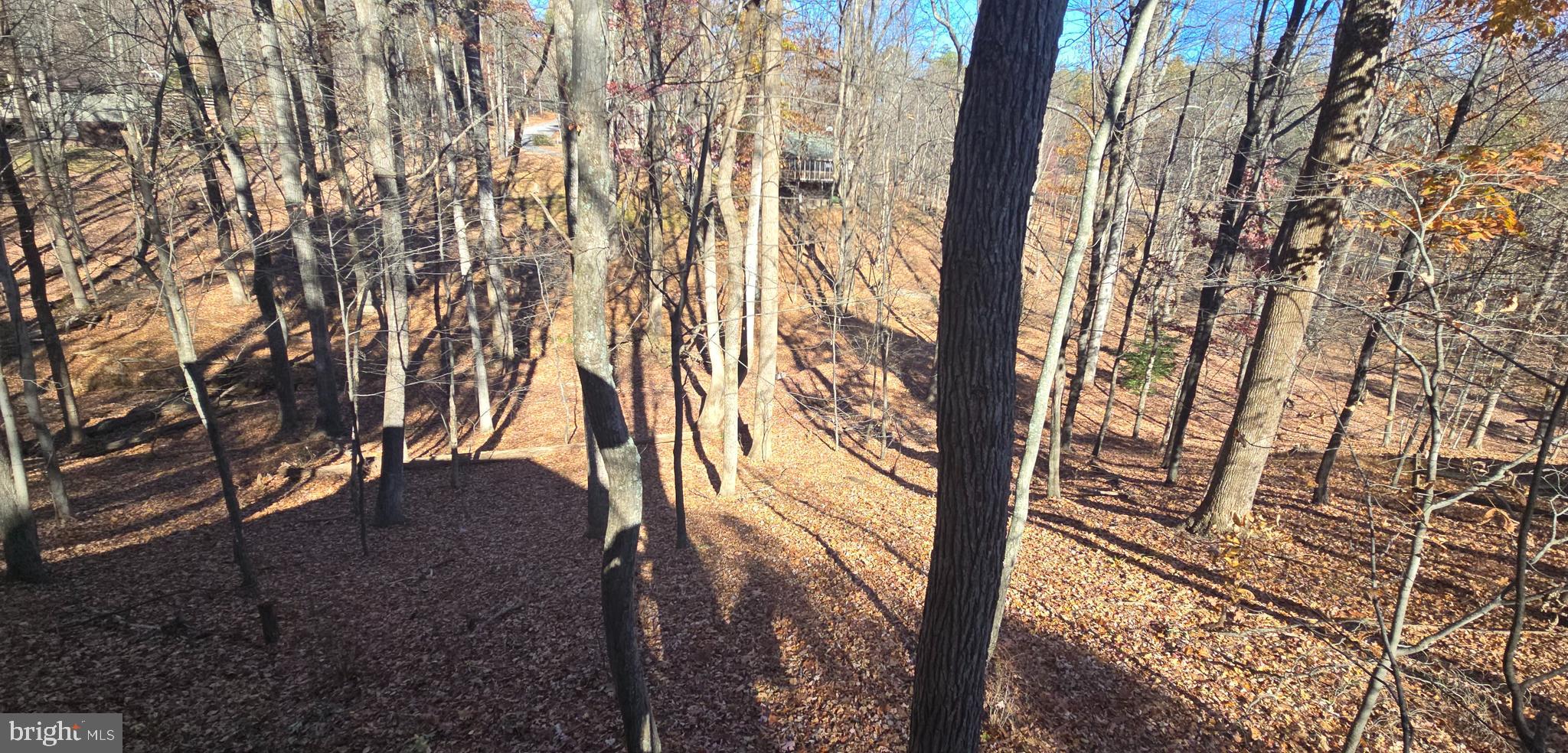 THE WOODS RESORT - Residential