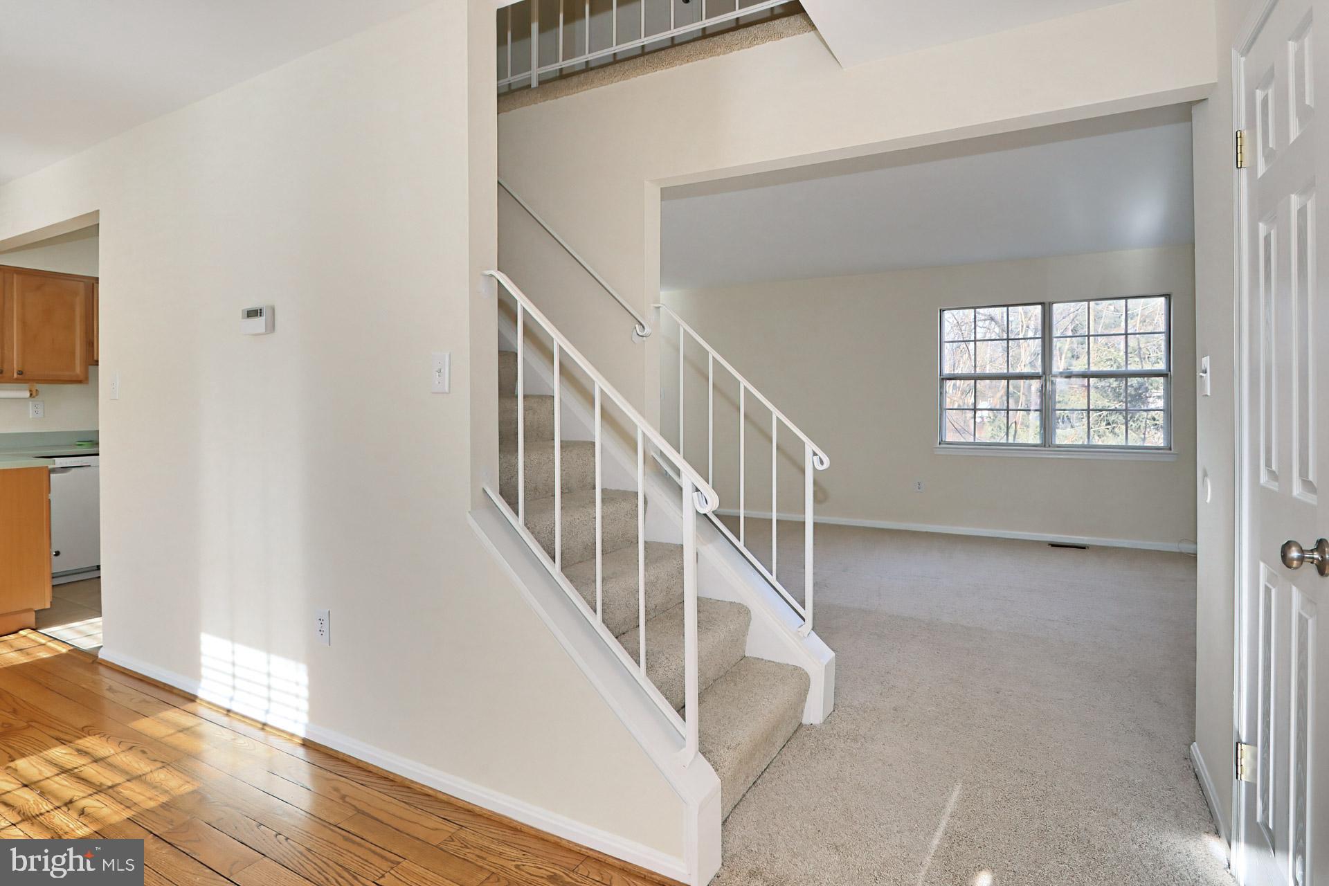 10024 DOWNEYS WOOD COURT