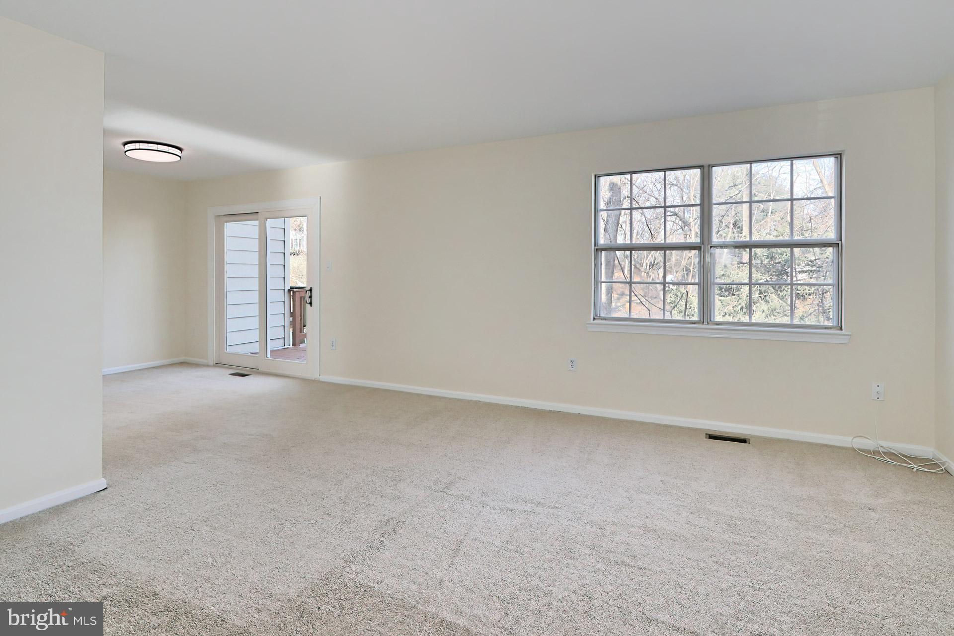 10024 DOWNEYS WOOD COURT