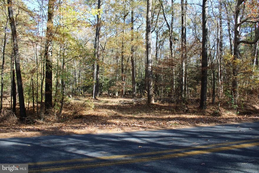 Don't miss out on this wonderful opportunity to create your own special place on Maryland's Eastern Shore.  This 1.4 acres partially wooded lot located in the heart of Worcester County provides ample privacy, yet is still accessible to everything that Coastal Maryland has to offer.  You would be a short drive from historic Berlin, Assateague Island and lets not forget the fun and excitement of Ocean City.  Take some time to drive by and check out this special piece of the Coast.