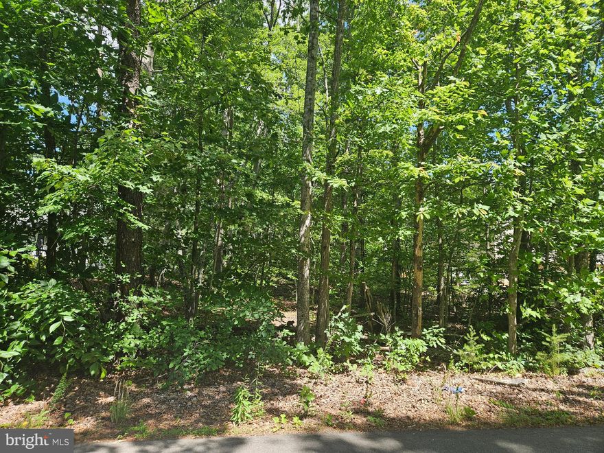 .46 wooded lot in Lake Wilderness Subdivision. Lot is unimproved.