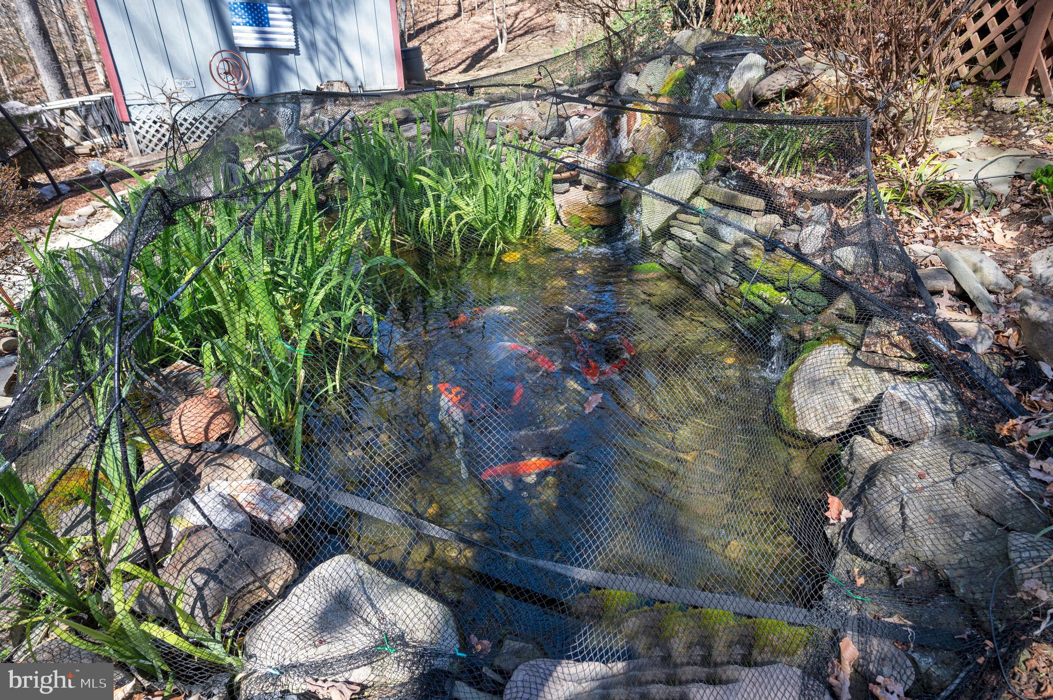 SPRING VALLEY - Residential