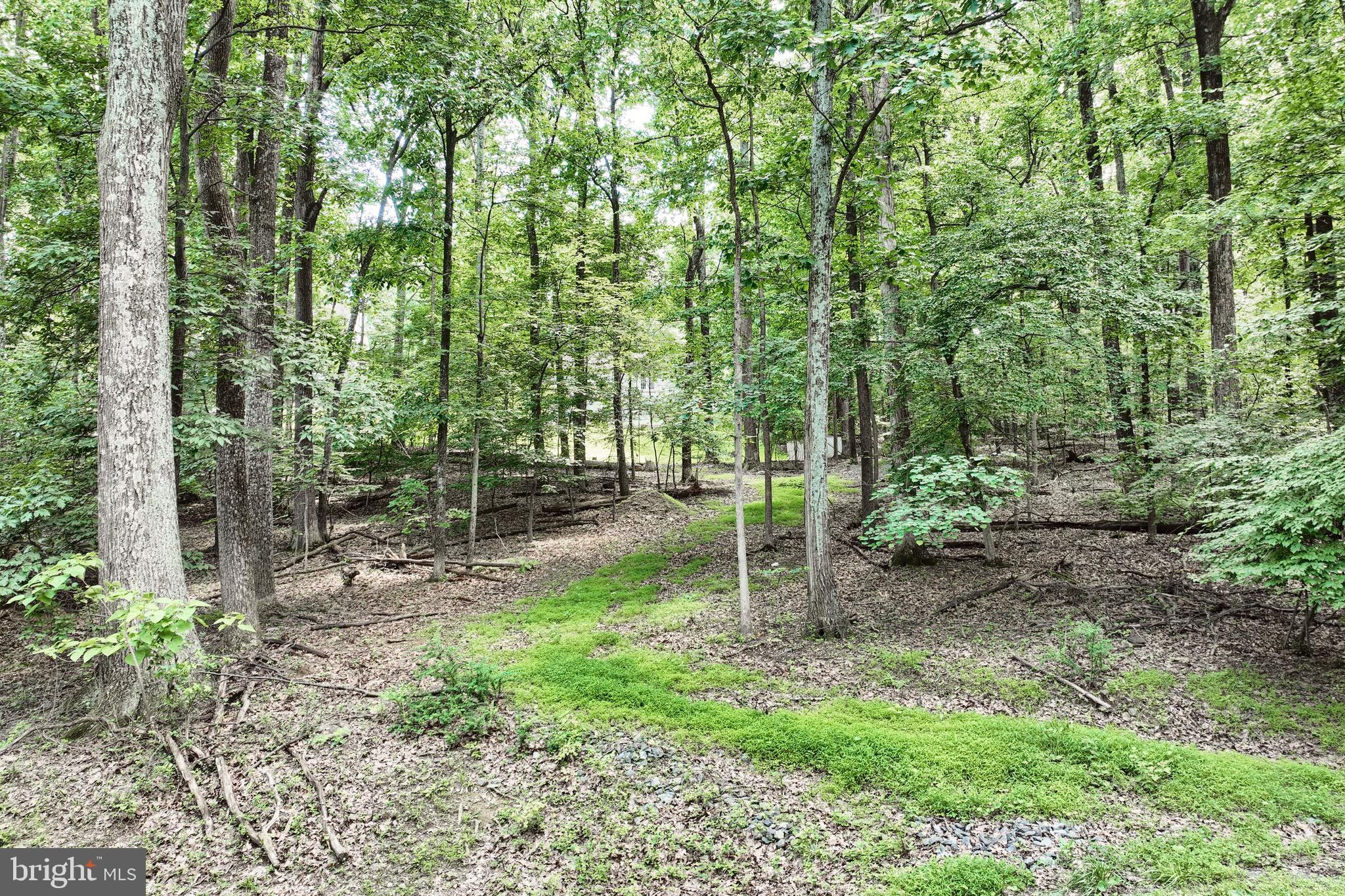 CARROLL VALLEY - Land