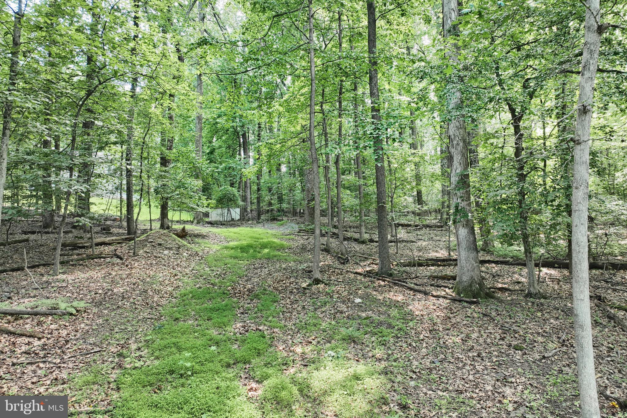 CARROLL VALLEY - Land