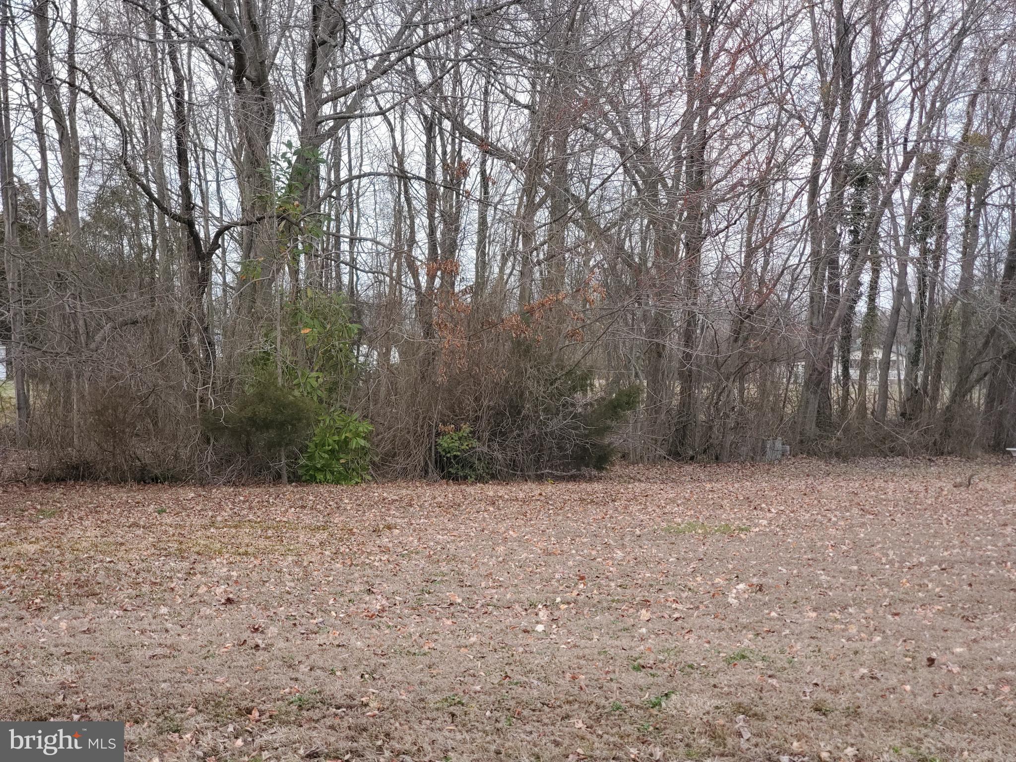 MILL POINT SHORES - Land