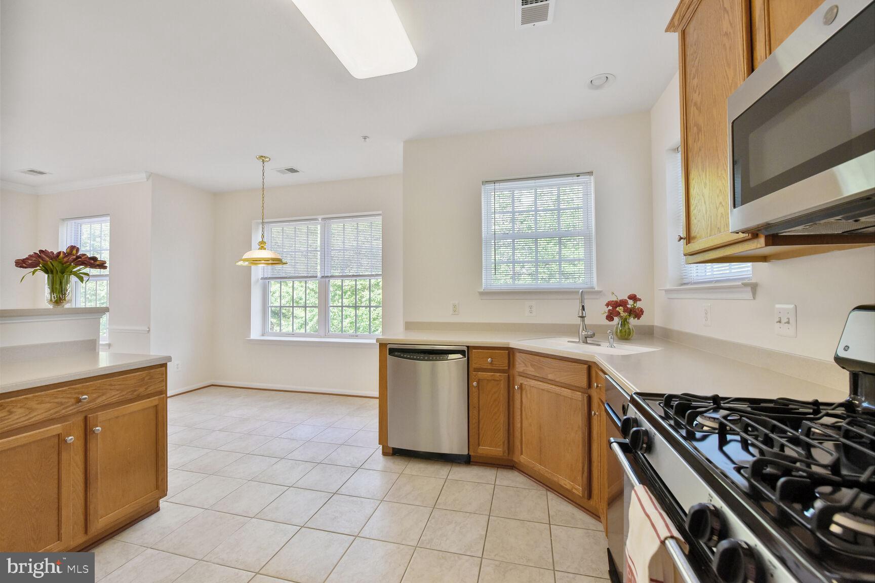 CENTRAL PARKE AT LOWES ISLAND - Residential