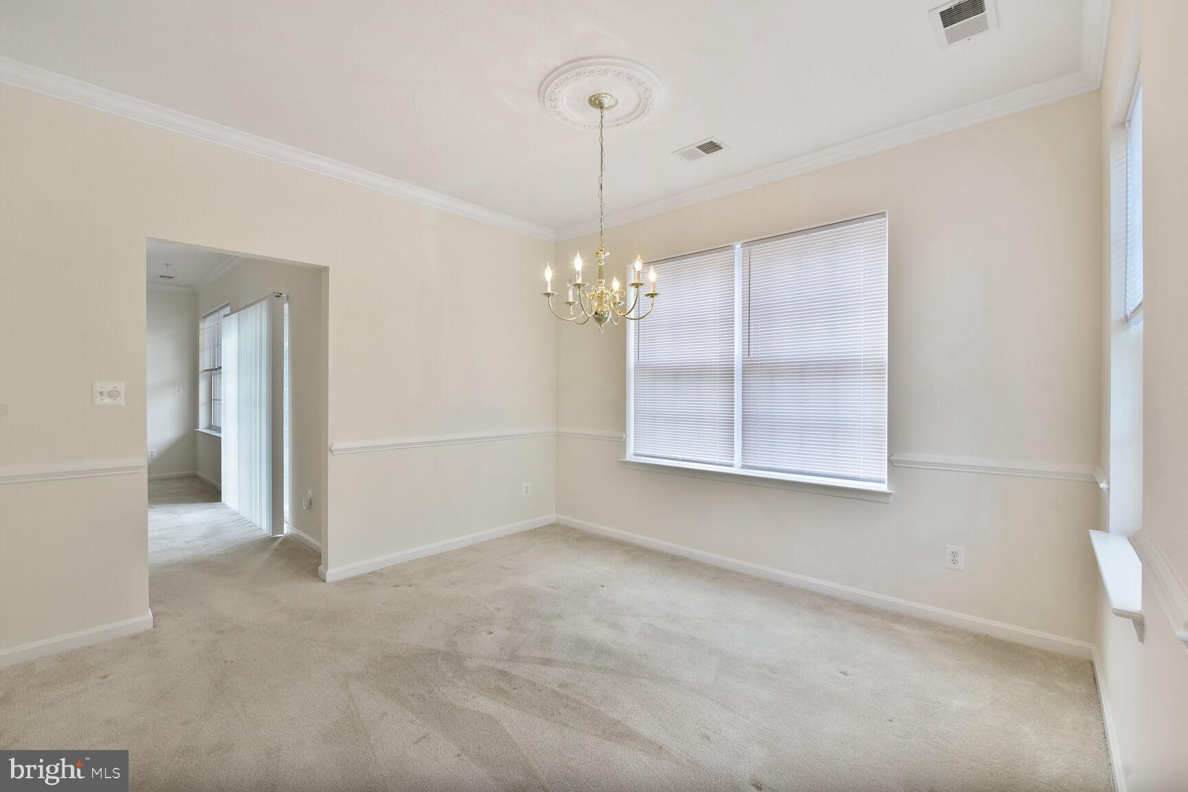 CENTRAL PARKE AT LOWES ISLAND - Residential