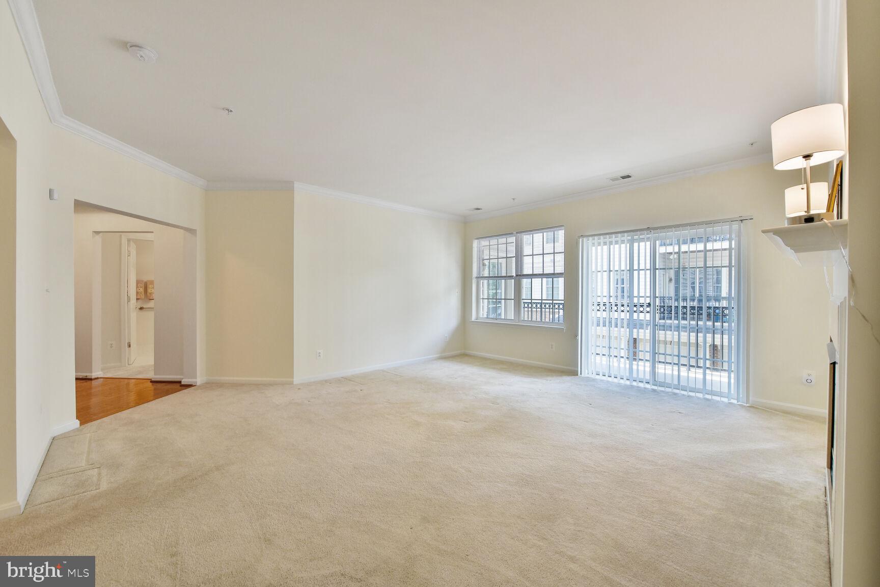 CENTRAL PARKE AT LOWES ISLAND - Residential