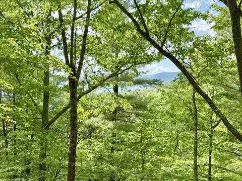 MLS: WVPT2001292