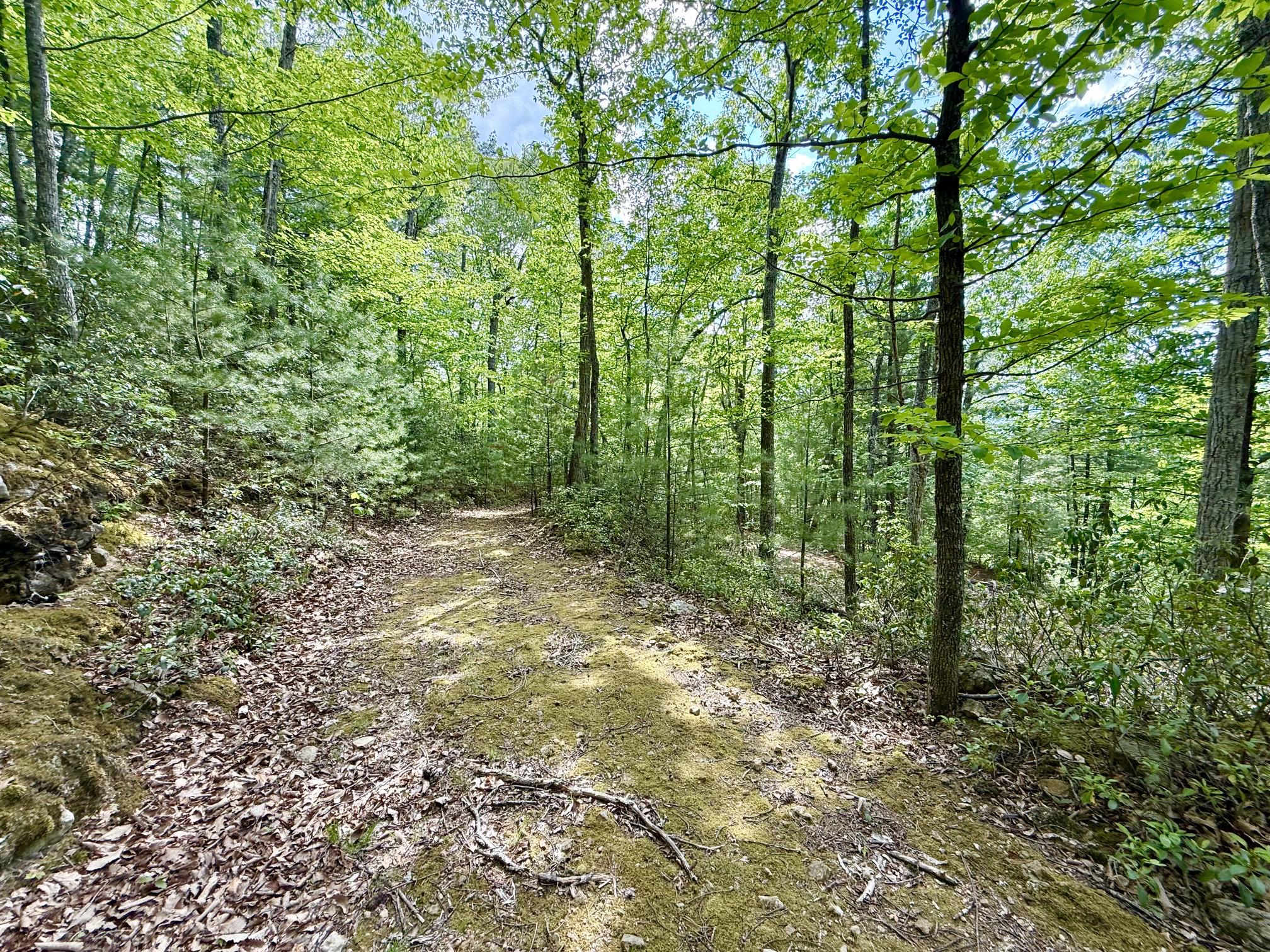 HAWKS RIDGE ROAD