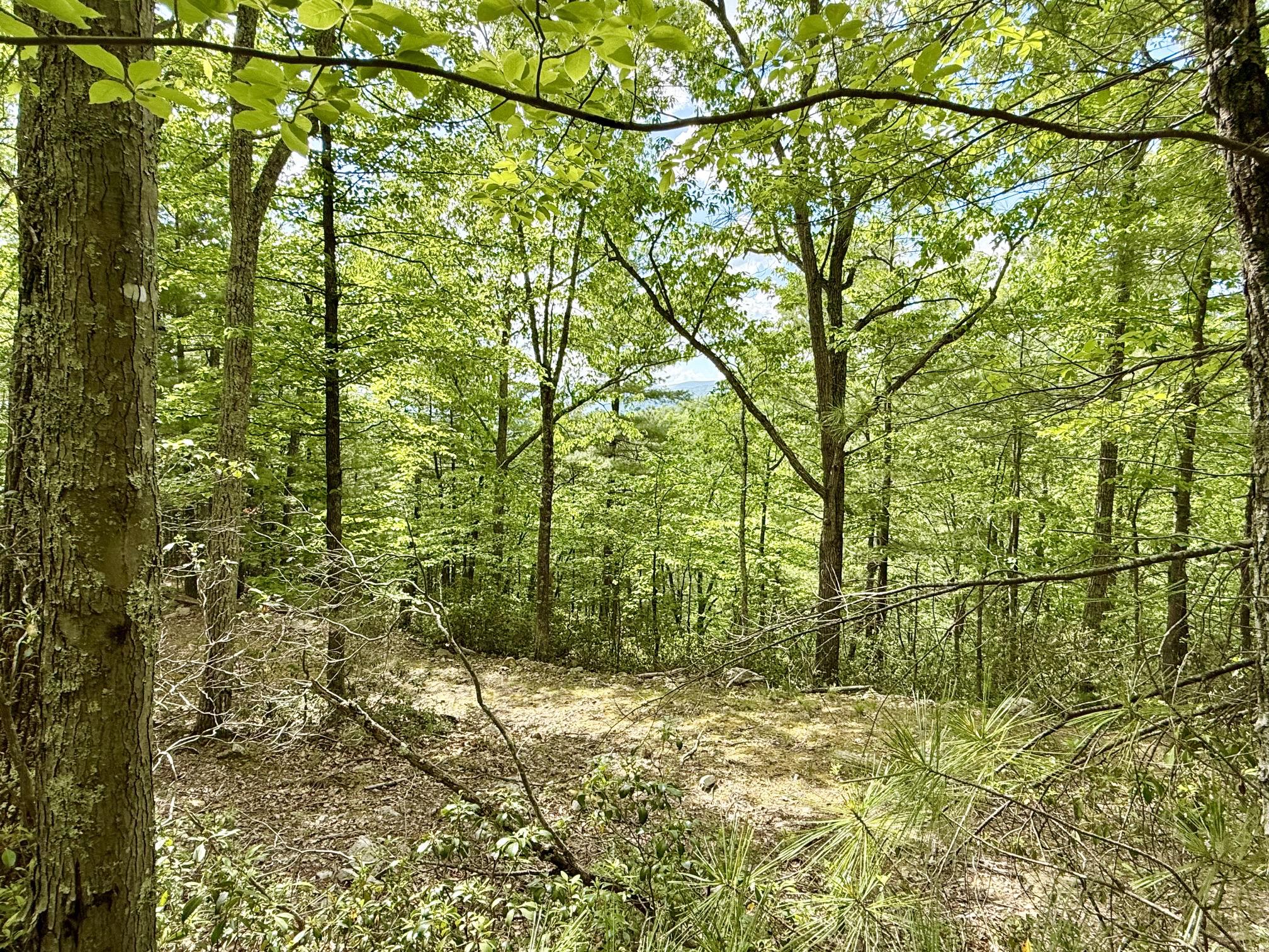 HAWKS RIDGE ROAD