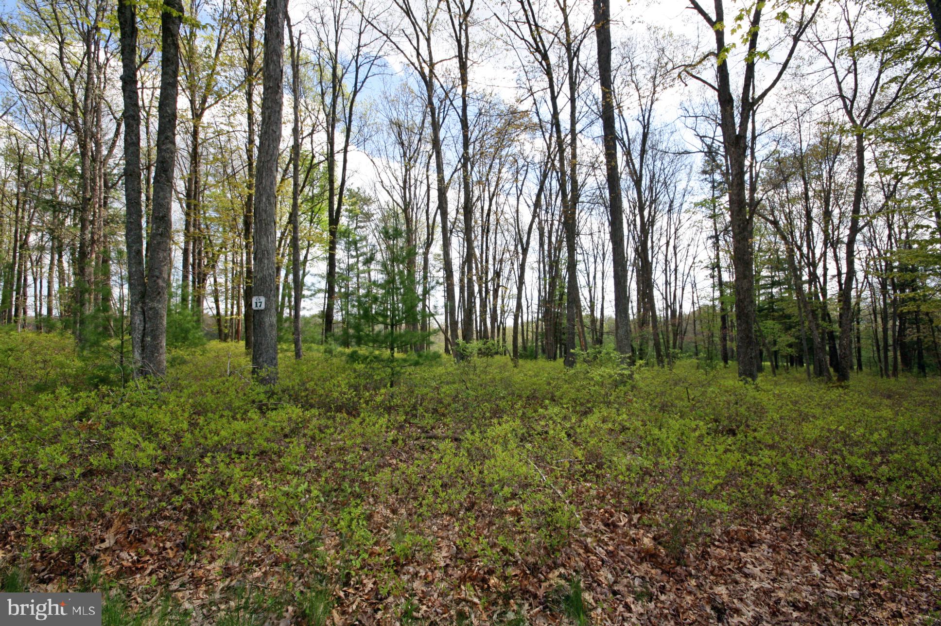 THOUSAND ACRES - Land