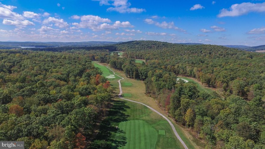 Here's your chance to purchase a beautiful homesite on the newly finished back nine in the Cathedral Springs section of Thousand Acres.  The tranquil feeling you get while pulling up to this lot is very calming. Positioning your dream home will be a hard decision, every angle is very pretty. Thousand Acres Golf Club boasts an 18-hole course.  Plans are in the works for a future clubhouse. The lake access area is near the existing golf clubhouse on the lakefront. This lot does not include a dock slip, but it does have deeded lake access. Rentals are limited to 24 times per year, and no more than 3 times per month. The only thing missing from this great homesite is your dream home! Includes a golf membership and 1 sewer tap.