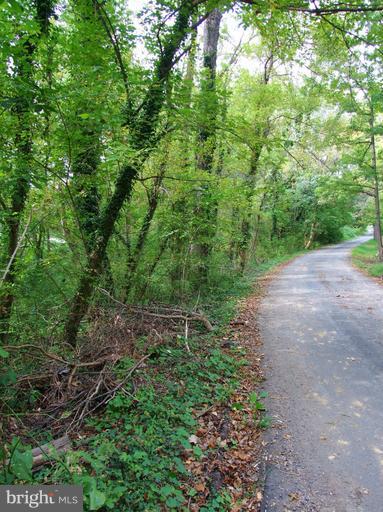 OLNEY OUTSIDE - Land