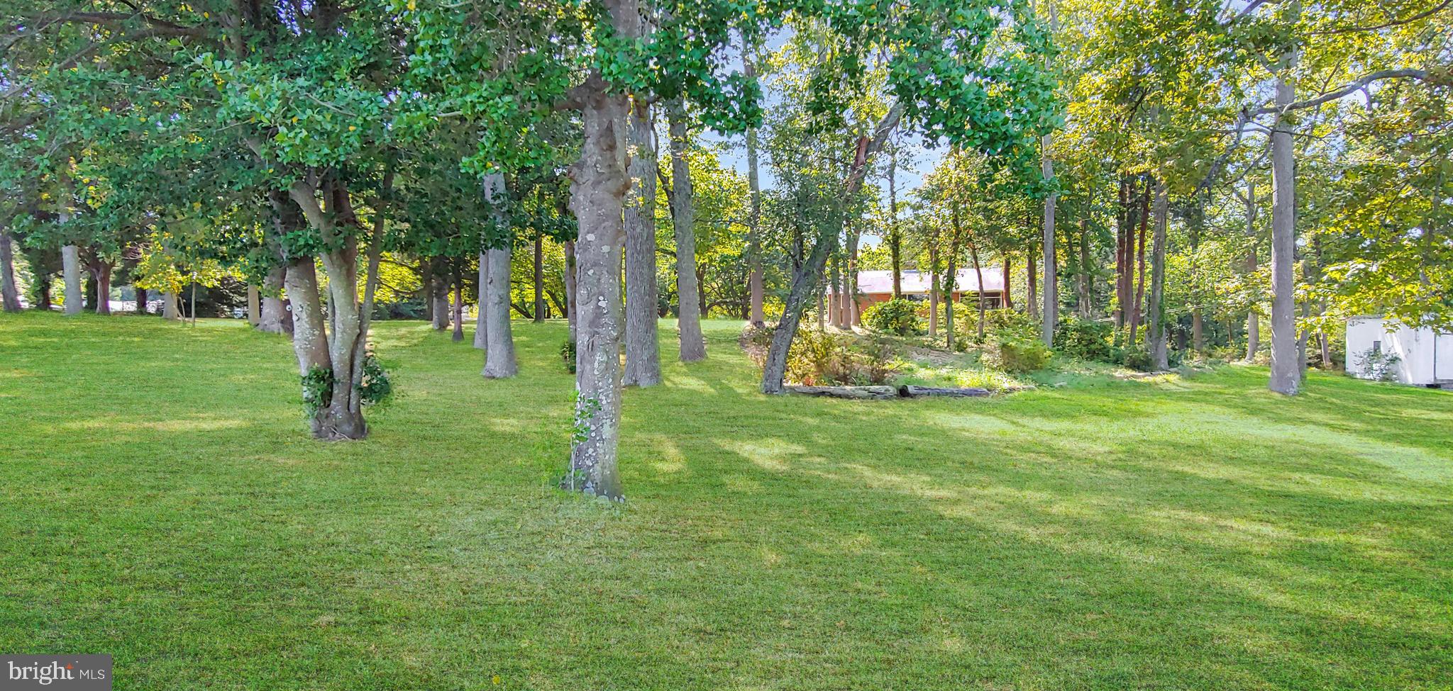 HALF PONE POINT - Residential