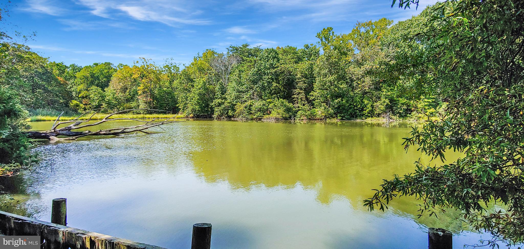 HALF PONE POINT - Residential