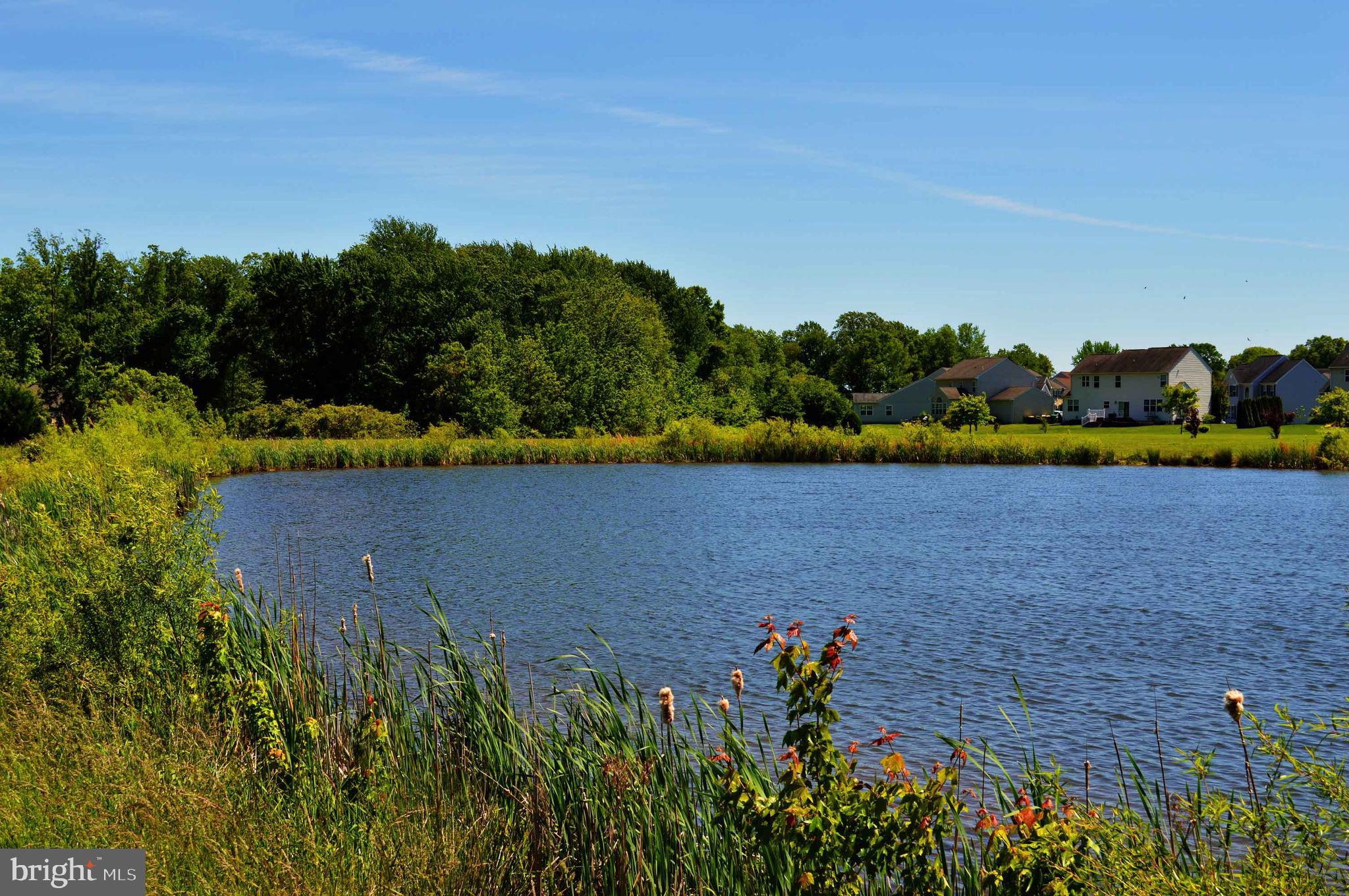 HERITAGE TRACE - Residential