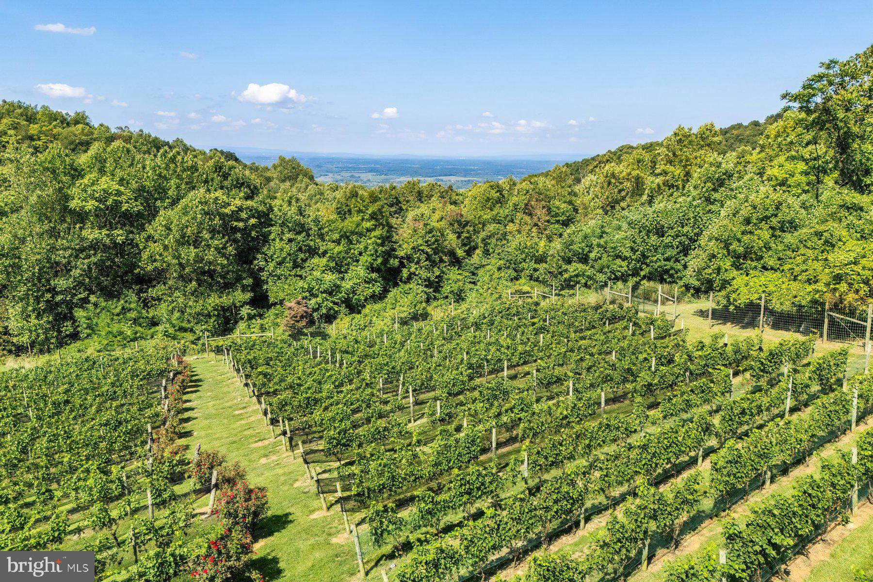 ANDERSON - Residential