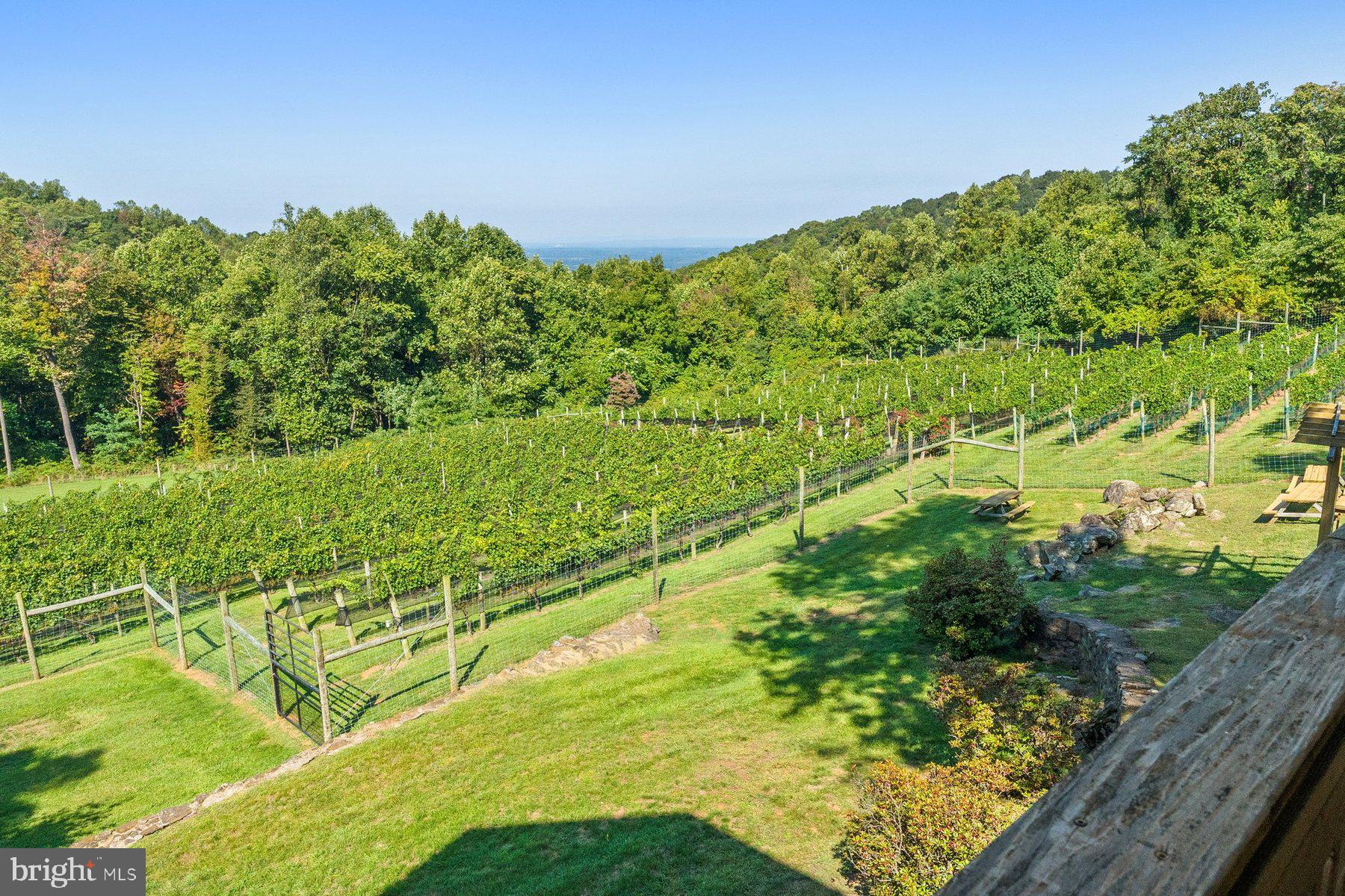 ANDERSON - Residential