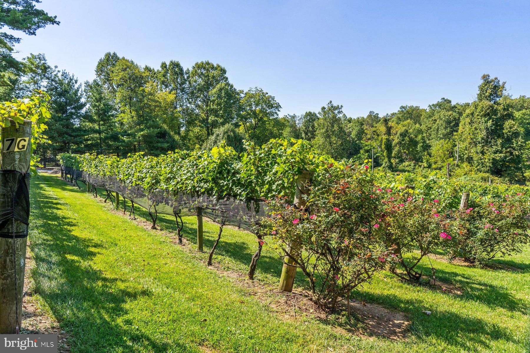 ANDERSON - Residential