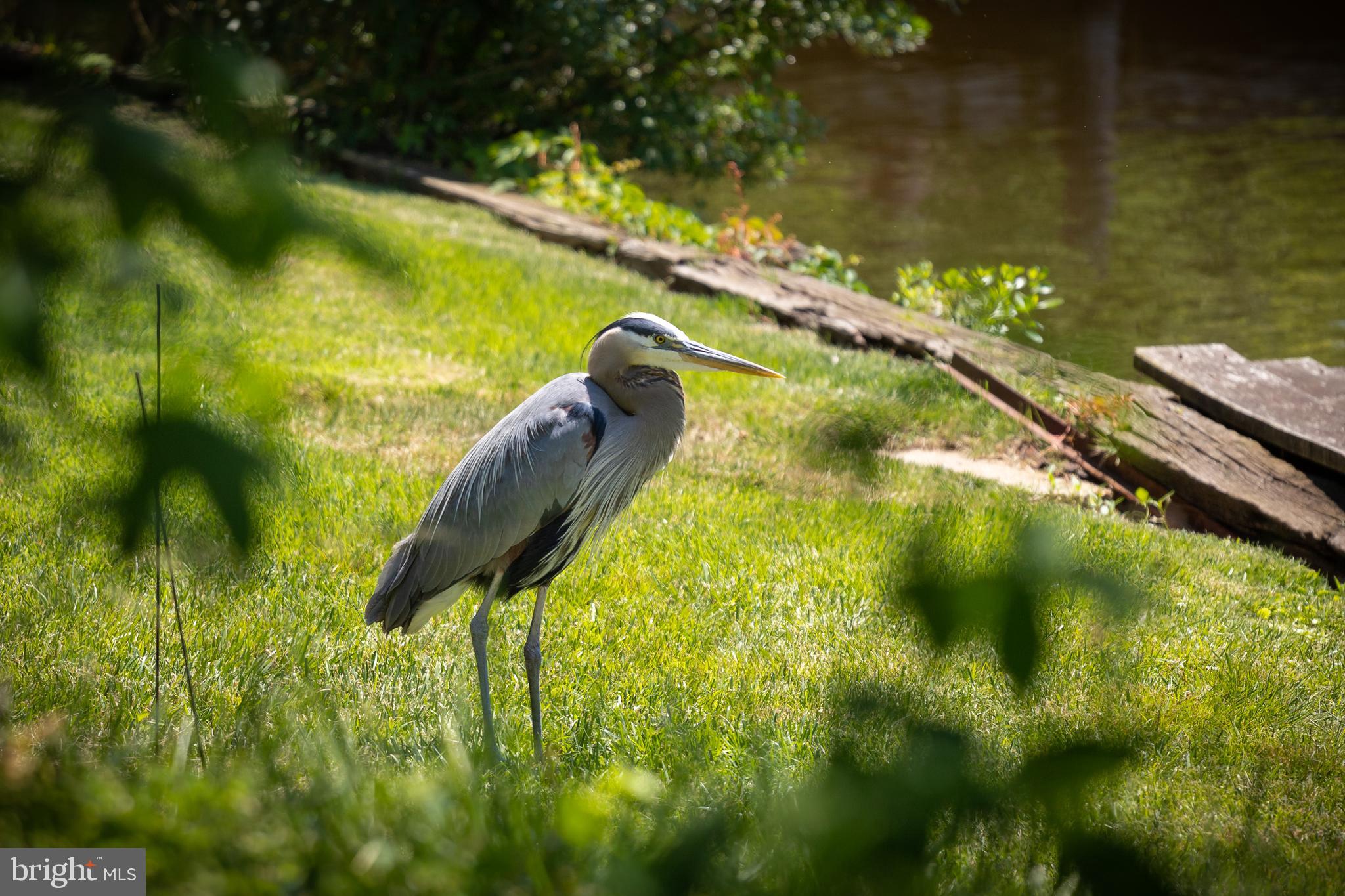 LOCH HAVEN BEACH - Residential