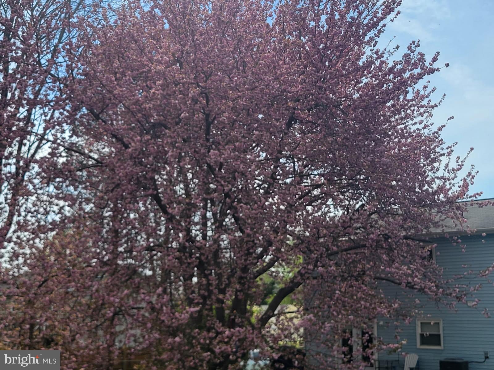 WARRENTON LAKES - Residential