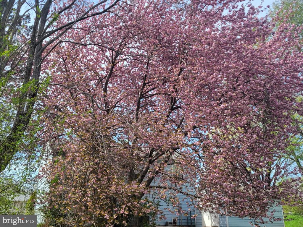 WARRENTON LAKES - Residential