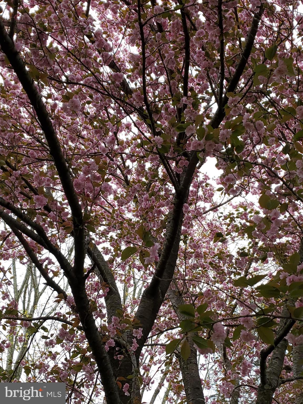 WARRENTON LAKES - Residential