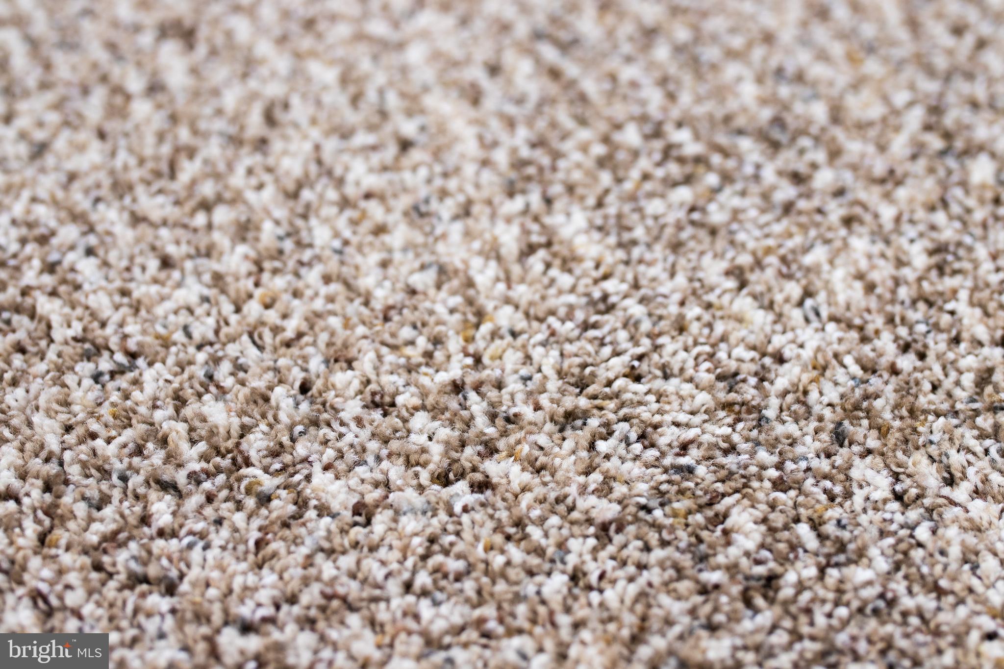 STONEYBROOK NORTH - Residential