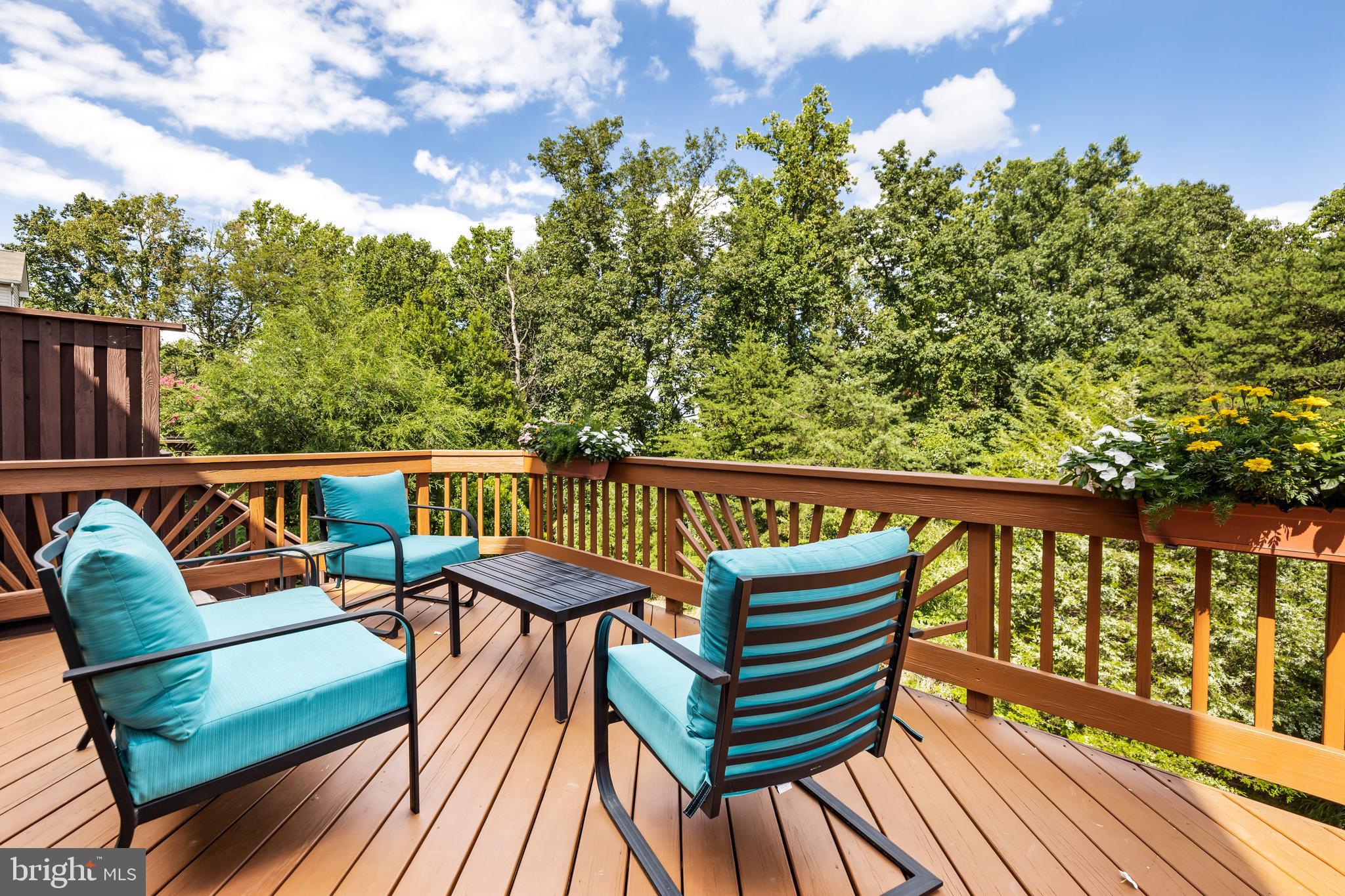 MAYS CHAPEL - Residential