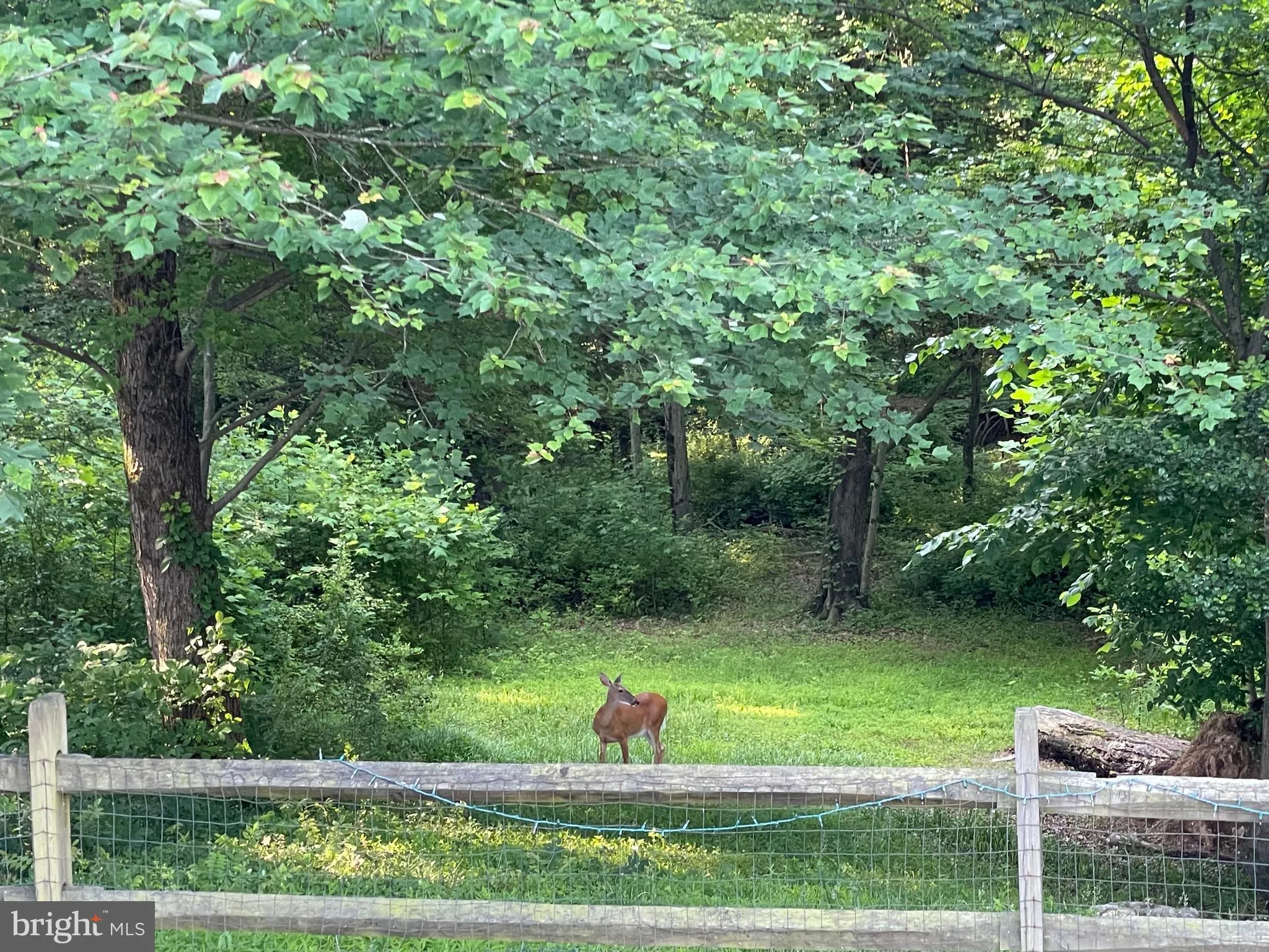 Fairfax, Virginia 22032, United States, 4 Bedrooms Bedrooms, ,3 BathroomsBathrooms,Residential,Coming Soon,172700